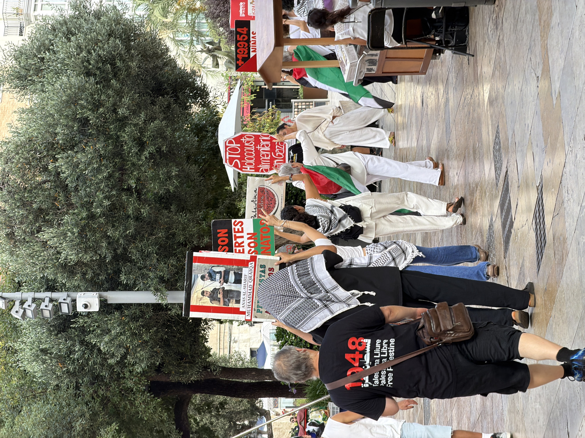 A group of people are participating in a protest on a paved plaza, with a large tree and buildings visible in the background. The protest is centered around signs and flags, with many participants holding them aloft. Several individuals are wearing keffiyeh scarves, a traditional headdress. One man in the foreground is wearing a black t-shirt with the number "1948" printed on it and a message in Arabic and English. Another sign reads "STOP Holocausto alimentario en Gaza," meaning "STOP food holocaust in Gaza." Some individuals are waving Palestinian flags. There is also a sign with "+19.954 NIÑAS" and a watermelon image. The overall atmosphere appears to be one of active demonstration.