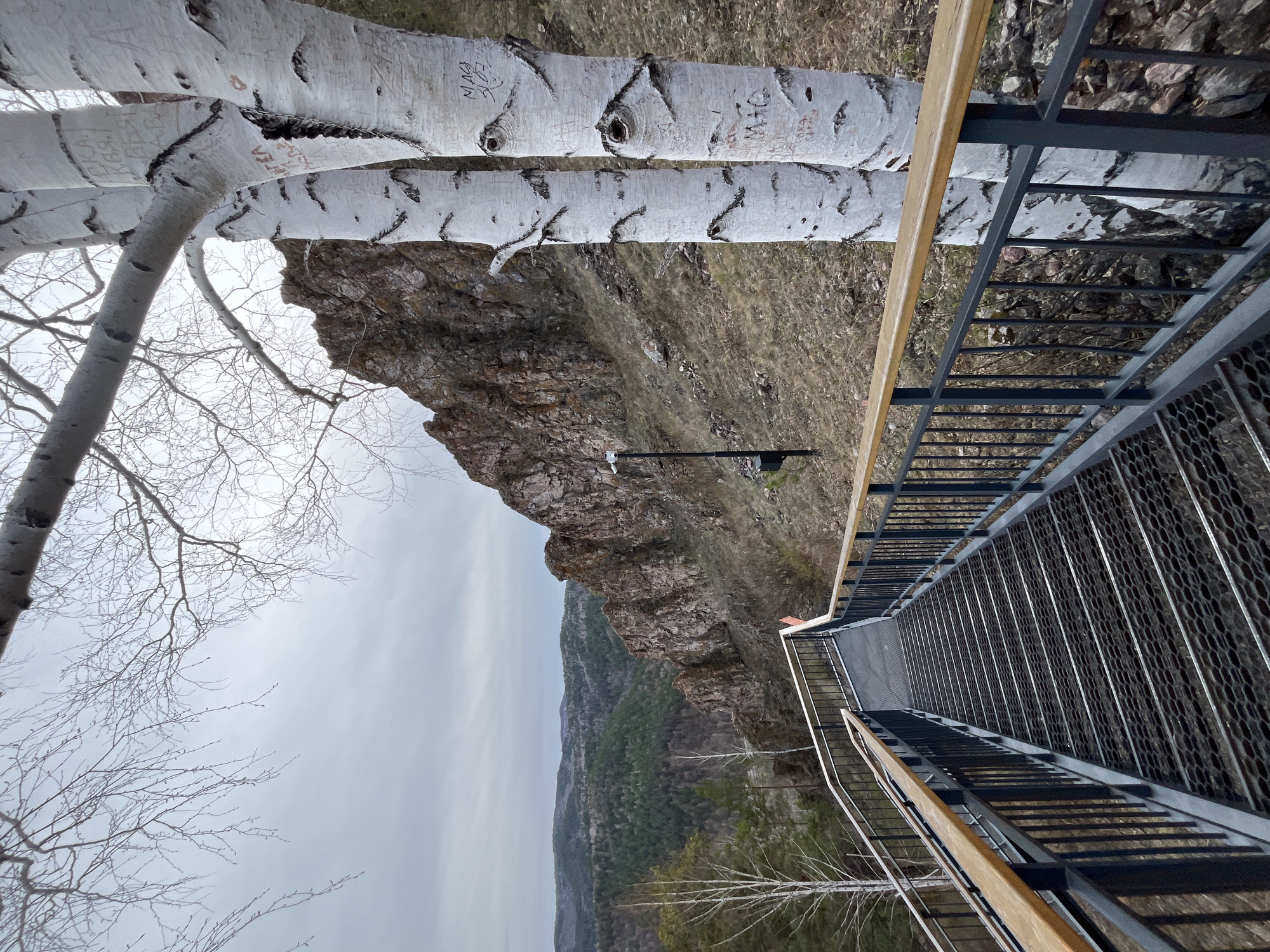 This is an outdoor scene taken in Krasnoyarsk, Russia, featuring a metal staircase leading down a rocky slope. A railing lines the staircase. To the left are birch trees with peeling white bark, some branches bare. Beyond the rocks, a landscape of forested hills stretches into the distance under a cloudy sky.