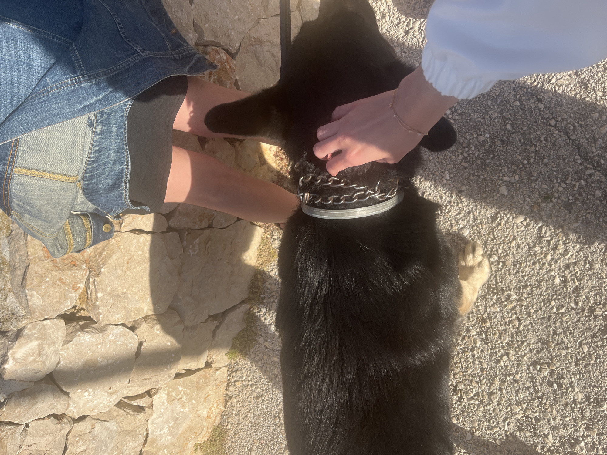 The image shows a dog being petted by two people outdoors. One person is wearing a denim jacket and black shorts, while the other wears a white jacket. The dog is black with a silver collar. The ground is rocky in one area and gravelly in another. The location is likely in El Poble Nou de Benitatxell / Benitachell, Spain.