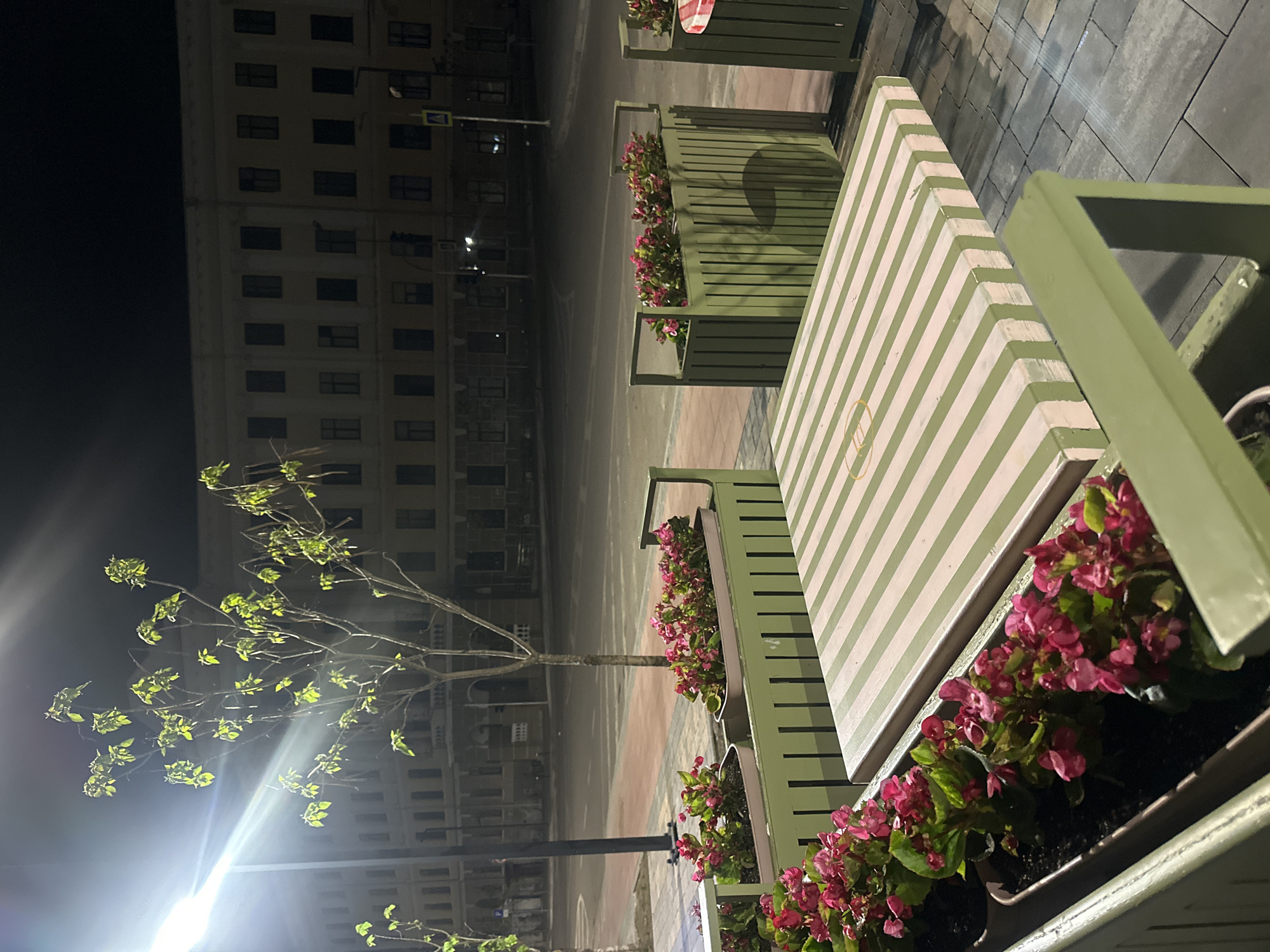 The image depicts a nighttime scene in Ternopil, Ukraine. A multi-story building is visible in the background. In the foreground, there are several planters arranged along the sidewalk. The planters contain red flowers. A striped table sits behind the planters. A young tree with leaves is visible to the left of the planters. The area is illuminated by streetlights.