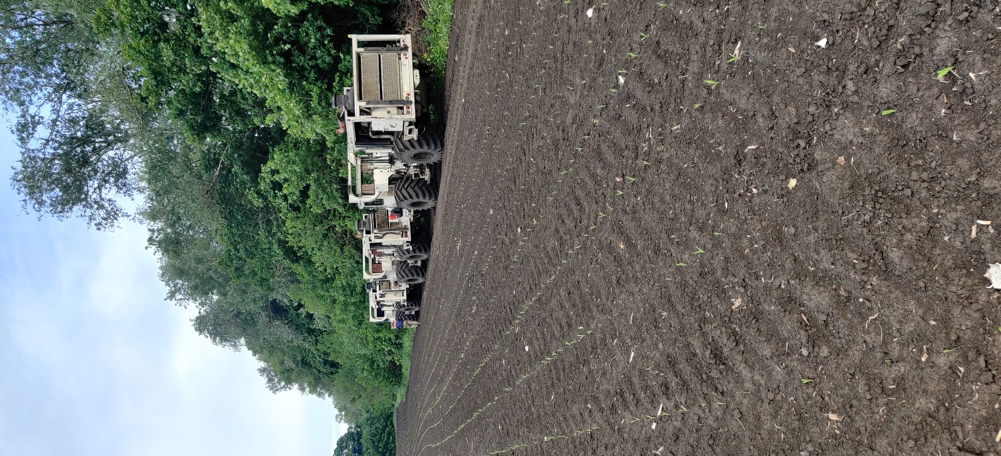 The image shows a field in Kovalivs'ke, Ukraine, with young plants arranged in rows. Adjacent to the field, four large, off-white agricultural vehicles are parked in a line next to a tree line. The sky is partially visible, showing a pale blue color with some clouds. The soil in the field is dark and tilled, suggesting recent planting.