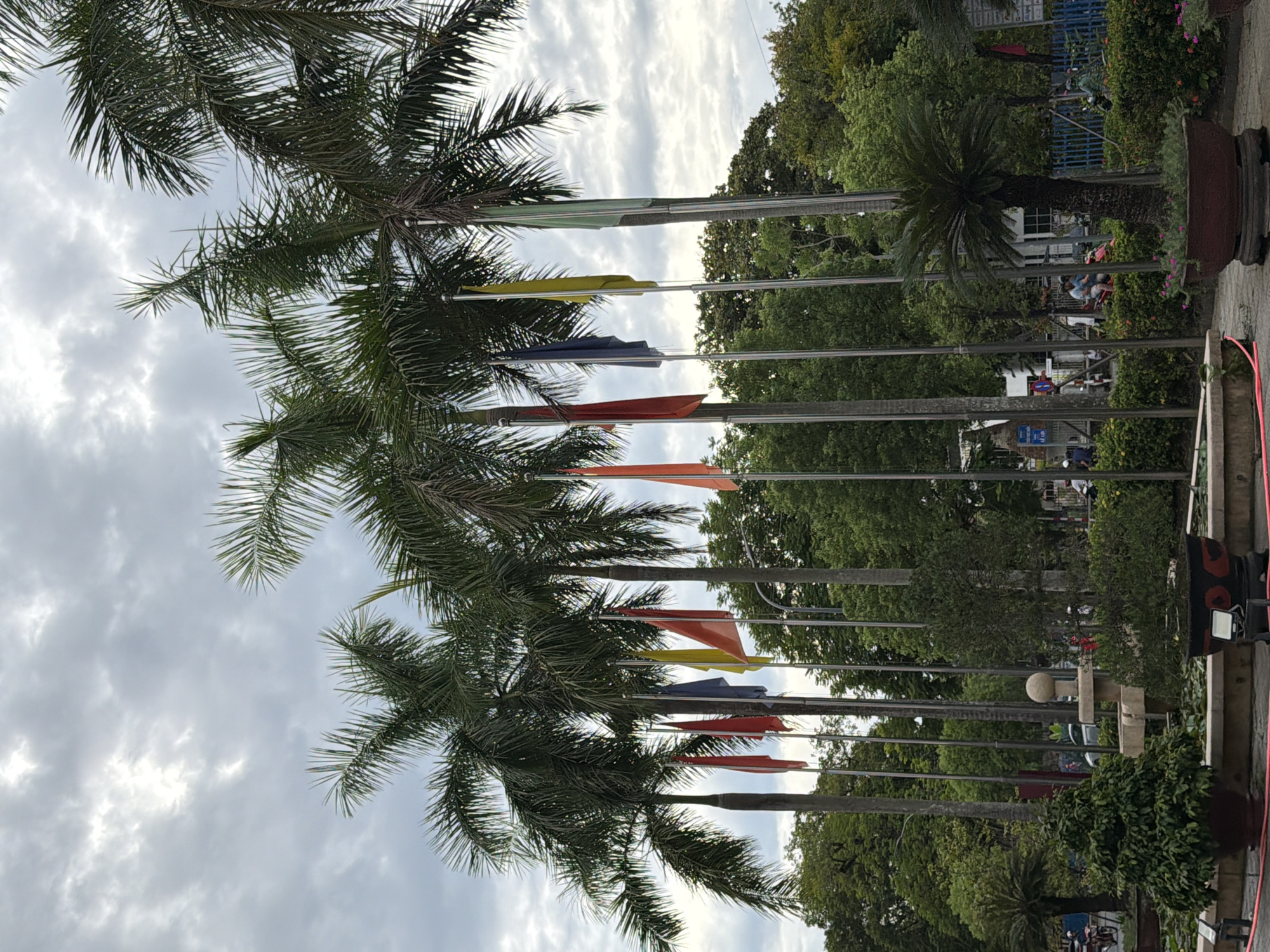 The image depicts a street scene in Thuận Hóa Ward, Vietnam, under an overcast sky. A line of tall palm trees dominates the foreground, with their fronds stretching upwards. Between the palm trees, several flagpoles are visible, each flying a different colored flag: red, blue, yellow, and orange. These flags appear to be made of fabric and are hanging limply. In the mid-ground, there is dense green foliage, with trees and bushes forming a backdrop. A stone fountain structure is present in the middle of the scene, with a spherical top. In the foreground, several potted plants and bonsai trees are arranged around the fountain. A red rope or barrier is visible along the bottom edge of the image. Further in the background, there are buildings and a blue fence. Several people and motorcycles are present in the scene, suggesting activity on the street. The overall atmosphere appears calm and possibly humid, given the greenery and overcast conditions.