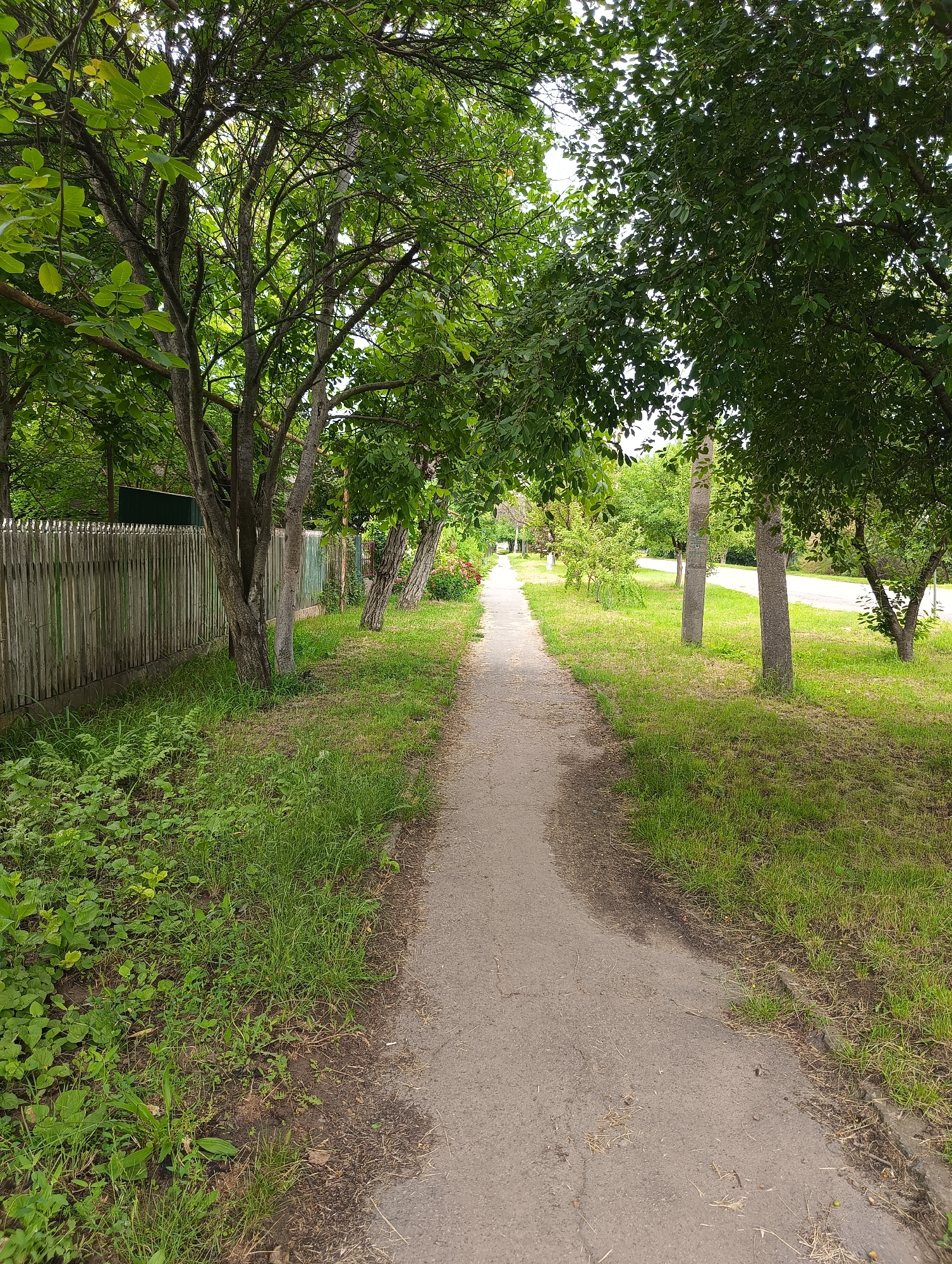 The image depicts a paved walkway bordered by lush green grass and trees. On the left side of the walkway, a weathered wooden fence runs along the edge of a property, behind which is a glimpse of what appears to be a green building. The walkway leads into the distance, where it appears to merge with a road. The scene is set on a bright, overcast day, suggesting typical urban landscaping in Biliaivka, Ukraine. There are no people or animals visible in the image. The overall impression is one of a quiet, residential street with ample greenery.
