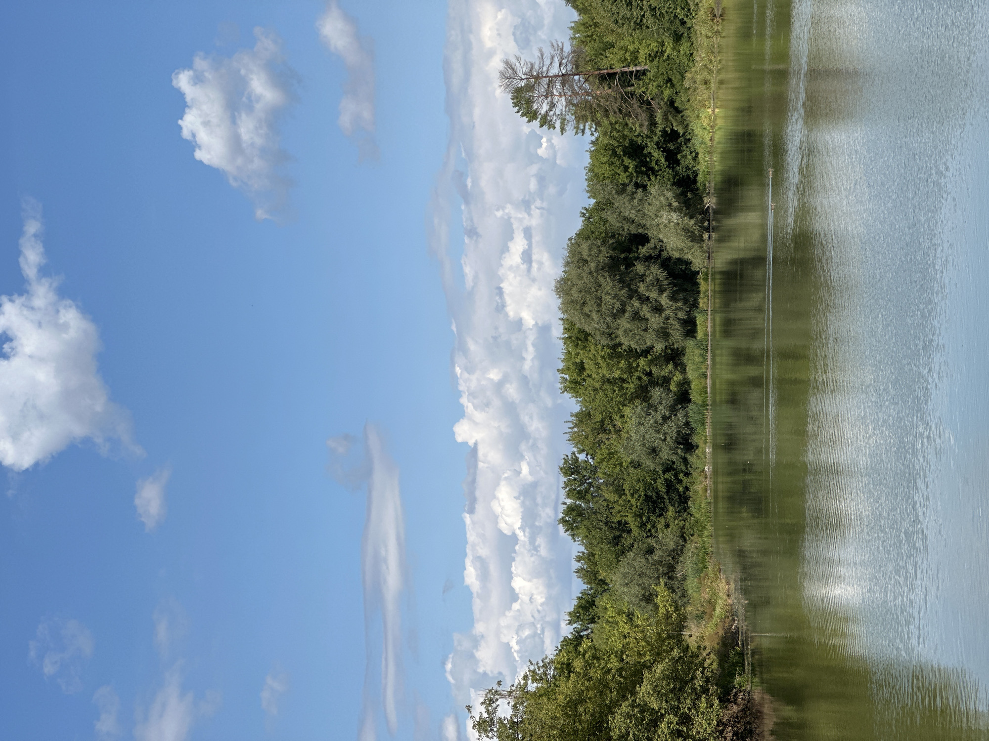 The image shows a serene natural scene. A calm body of water, likely a lake or a wide river, occupies the foreground. The water is reflective, mirroring the trees and the sky above. The far bank is lined with a dense forest of lush green trees. In the distance, the sky is a bright blue, dotted with fluffy white clouds. A tall, dry tree stands out against the greenery on the right side of the image. The scene appears to be located in Shatava, Ukraine, as indicated. There are no people or animals visible in the frame, with the exception of a few small dark shapes on the water that might be ducks or other waterfowl. The overall impression is one of tranquility and natural beauty.