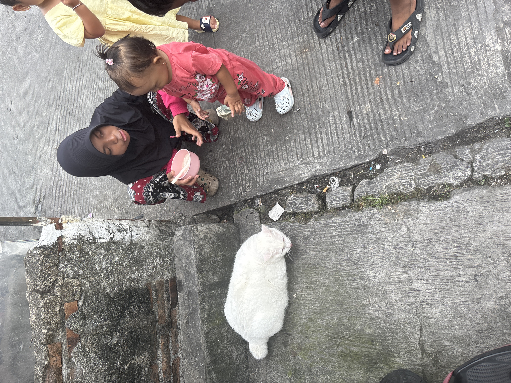 An overhead shot captures an outdoor scene on a concrete pavement, likely in North Jakarta, Indonesia. The main subjects are a woman, two children, and a white cat.
The woman, wearing a black hijab and a patterned skirt, is positioned in the lower-middle left, looking down with a gentle expression. She holds a pink bowl containing a white substance, possibly food, and a white spoon. A young child in a pink floral jumpsuit and white clogs stands next to her, extending a hand to hold what appears to be folded currency, showing "100" printed on it. Another child in a yellow top is partially visible in the upper left.
A fluffy white cat rests on the concrete ground in the lower right, facing away from the group. The ground is grey concrete with parallel grooves, showing signs of wear, cracks, and scattered debris like cigarette butts and small pieces of paper. Stone steps or a low wall are visible on the left side of the frame. Various footwear, including black flip-flops with an Adidas logo and other sandals, are visible on the ground, suggesting multiple people are present or have passed by. The bright, even lighting indicates it is daytime.
