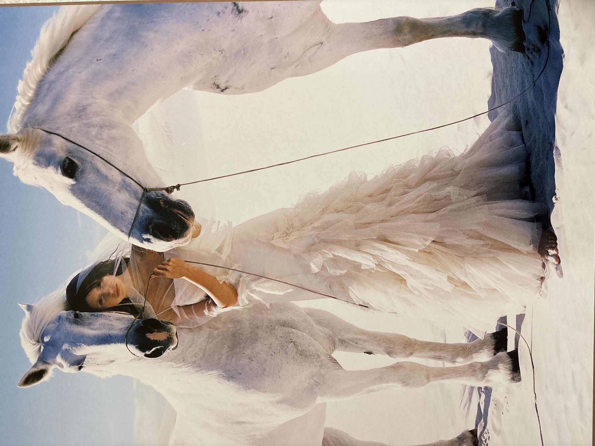 A photograph shows a woman in a wedding dress lying on two white horses. The woman is fair-skinned with dark hair, wearing a white dress with many layers of tulle and possibly a veil. She is in the center of the image. The horses surround her, positioned one on top of the other, so she appears to be reclining on both of them at once. The horses are wearing bridles with bits. There are no apparent saddles or other tack. The image is bright and has a slightly ethereal quality. It could be either an artistic photograph or commercial image with a bridal theme. The location, Chaikovsky, Russia, is not evident from the picture. The environment appears to be a snowy or bright open space, possibly against a pale sky.