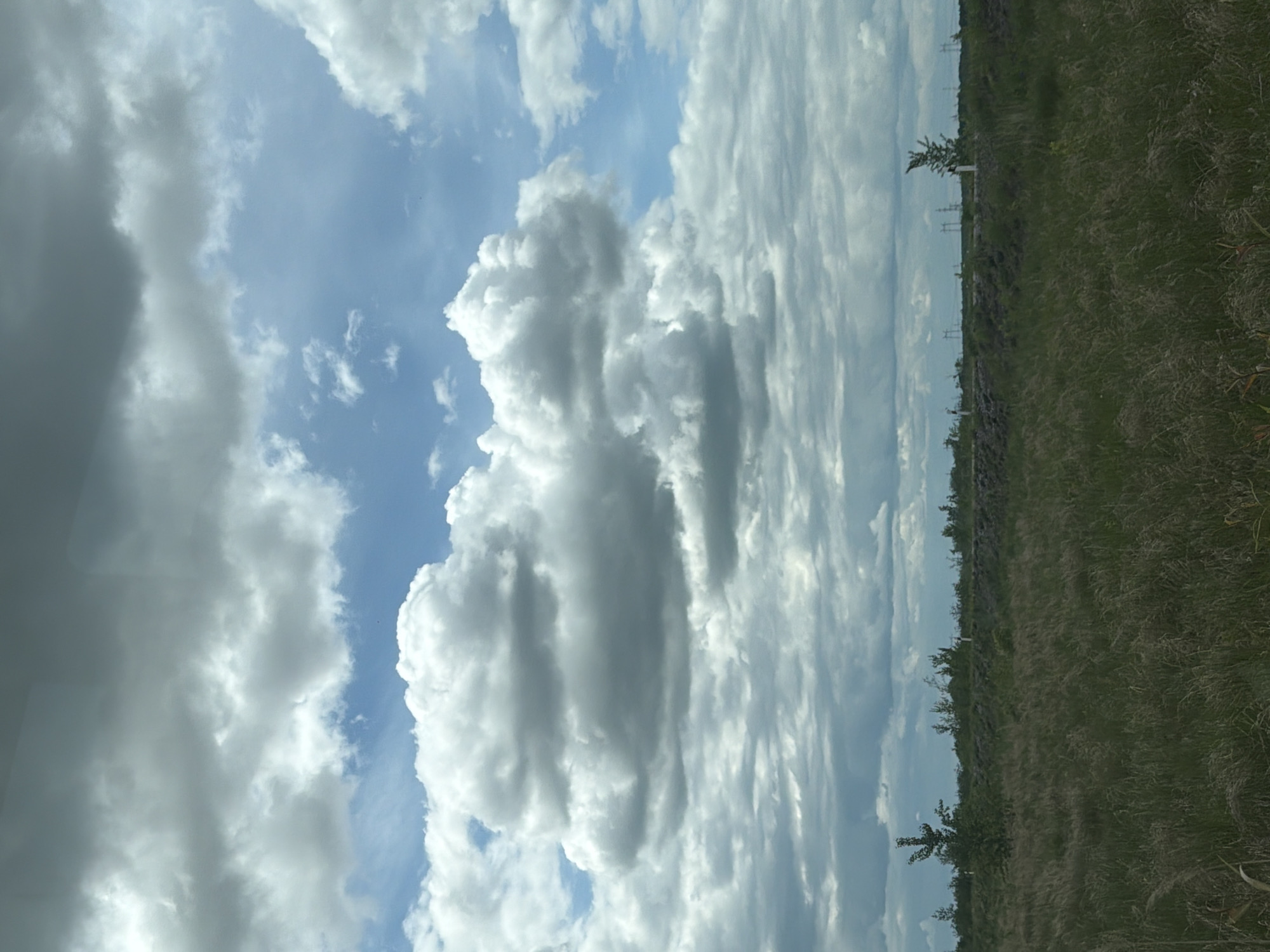 This image captures a landscape scene under a dramatic sky. The foreground is dominated by a field of dry, tall grass, suggesting an open, undeveloped area. In the mid-ground, a low, dark ridge runs horizontally across the frame, dotted with sparse vegetation and what appear to be small trees or bushes. Several tall, thin structures, possibly utility poles or pylons, are visible in the distance along this ridge, indicating infrastructure in the area. The background is filled with a vast sky, characterized by a mix of bright blue patches and a multitude of large, fluffy white and grey clouds, with darker, more ominous clouds towards the top of the frame. The overall impression is of a rural or semi-rural setting with a dynamic sky. The location is specified as Smidovich, Russia.