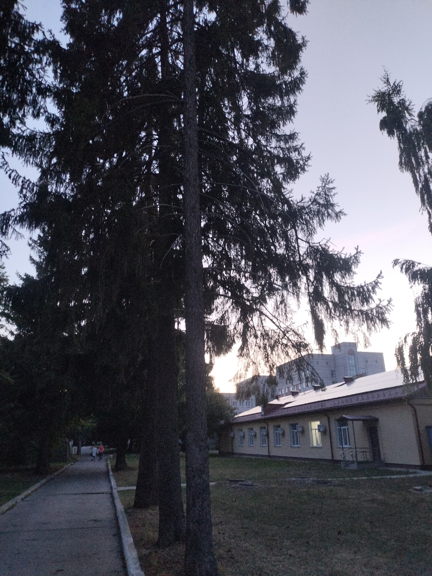 The image depicts a pathway in a park-like setting leading towards a low-rise building with a light-colored facade and a dark, sloped roof. Several windows, some illuminated, are visible on the building's front. Large, dark-barked trees with dense foliage are prominent in the foreground, casting shadows. In the background, a larger, multi-story building is partially visible. The sky is a pale blue, suggesting either early morning or late evening. A few individuals, appearing as small figures in the distance, are walking along the pathway. The overall scene conveys a serene, possibly semi-rural or institutional environment. This image was likely taken in Chernihiv, Ukraine, based on prior knowledge of similar scenes in the city's parks and public areas.