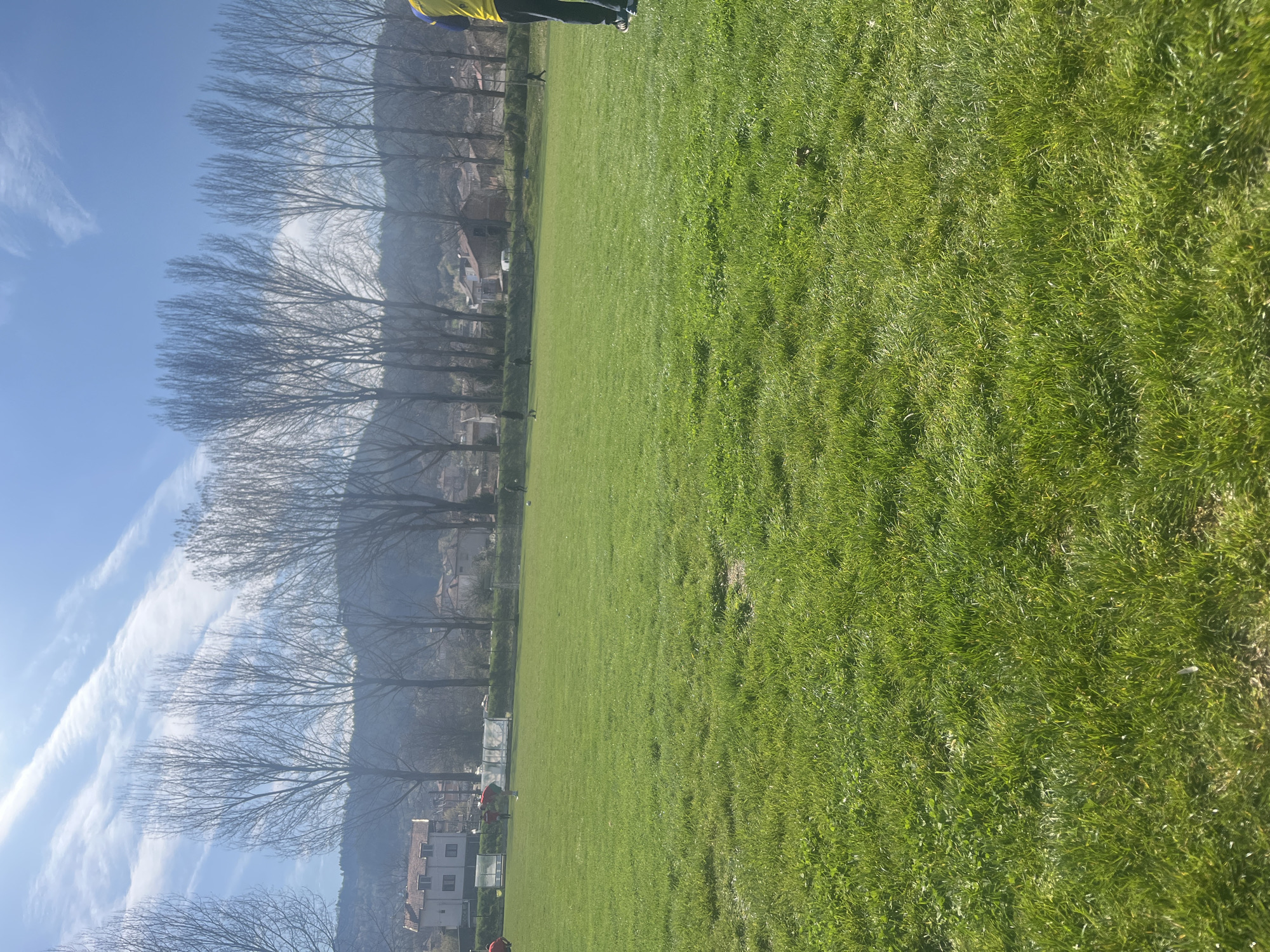 The image shows a field of green grass with a row of trees lining the edge. There are buildings visible behind the trees, suggesting an urban setting. A person wearing a yellow shirt is partially visible in the upper right corner. The sky is blue with some clouds. The location is a field in the city of Unknown, Unknown.
