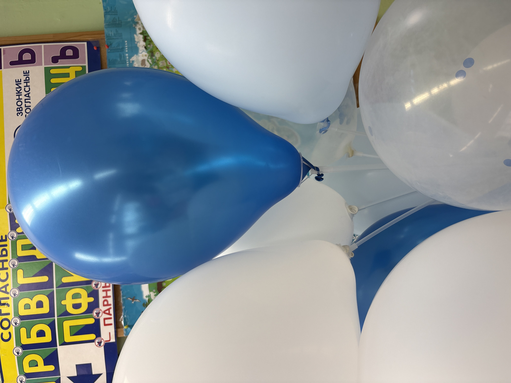 The image shows a cluster of blue and white balloons. A blue balloon is prominently featured in the foreground, while several white balloons and one clear balloon with blue polka dots are behind and around it. A portion of a Russian alphabet learning poster is visible in the background, specifically the section containing the letters "Б, П, Ф". The location is implied to be Chaikovsky, Russia.