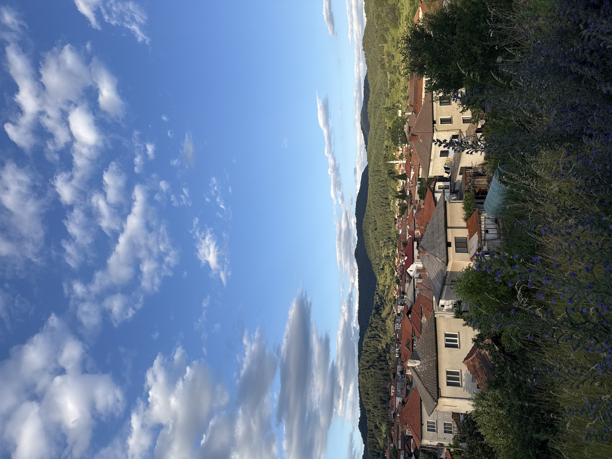 The image shows an aerial view of the city of Barutin, Bulgaria. The foreground is filled with tall grass and purple wildflowers. Beyond this, a cluster of residential buildings with red-tiled roofs and light-colored walls are visible. In the background, a densely forested hill rises, its slopes covered in evergreen trees. The sky above is a bright blue, scattered with white, fluffy clouds. A slender white structure, possibly a minaret, is visible in the distance, suggesting a mosque within the town. The overall scene depicts a tranquil, rural Bulgarian settlement bathed in natural light.