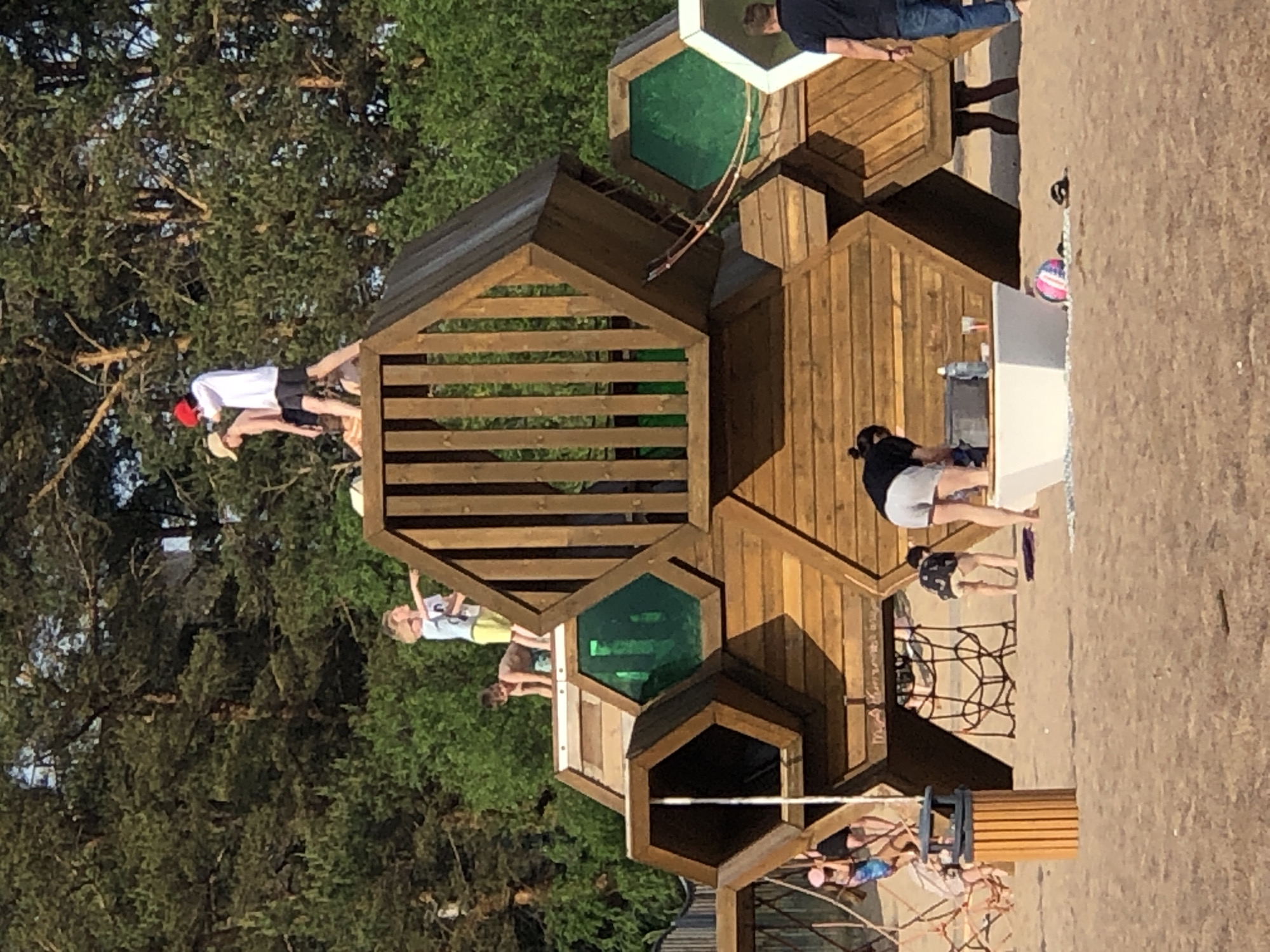 This image depicts an outdoor scene at the "Dune" eco-trail and children's playground in Sestroretsk, Russia, under bright daylight. The foreground and midground consist of sandy terrain, backed by a dense line of tall pine trees.
A large, multi-level wooden playground structure, constructed from interconnected hexagonal modules, dominates the center of the image. Several of these modules feature green transparent panels. Wooden railings secure the upper platforms of the structure, and rope climbing nets are visible on the lower left and beneath the central sections.
On the upper left platform of the playground, a young child with blonde hair, wearing a light-colored shirt and yellow shorts, is standing and pointing towards the right. Adjacent to them, a younger child, possibly a toddler, in a light-colored top, is on all fours, looking down. On the upper right platform, two male individuals are standing. One wears a red cap, a white long-sleeve shirt, and dark shorts, with a backpack partially visible. The other, wearing a light-colored cap and dark shorts (shirtless), stands nearby. Another person is partially visible lying down behind them.
At ground level on the left, a young child wearing a pink hat and a colorful swimsuit is on a rope net, looking to the right. A cylindrical, slatted wooden trash receptacle stands nearby. In the center-right foreground, a woman with dark hair, wearing a dark top and light-colored shorts, is leaning over a white rectangular basin or table. A plastic water bottle and a cup are placed on this basin. To her right, a man in a dark t-shirt and blue jeans stands with his back partially turned, facing right. On the sand near the white basin, a pink and white striped ball and dark sandals are visible. Partial views of human legs indicate individuals inside the lower hexagonal modules of the playground.
