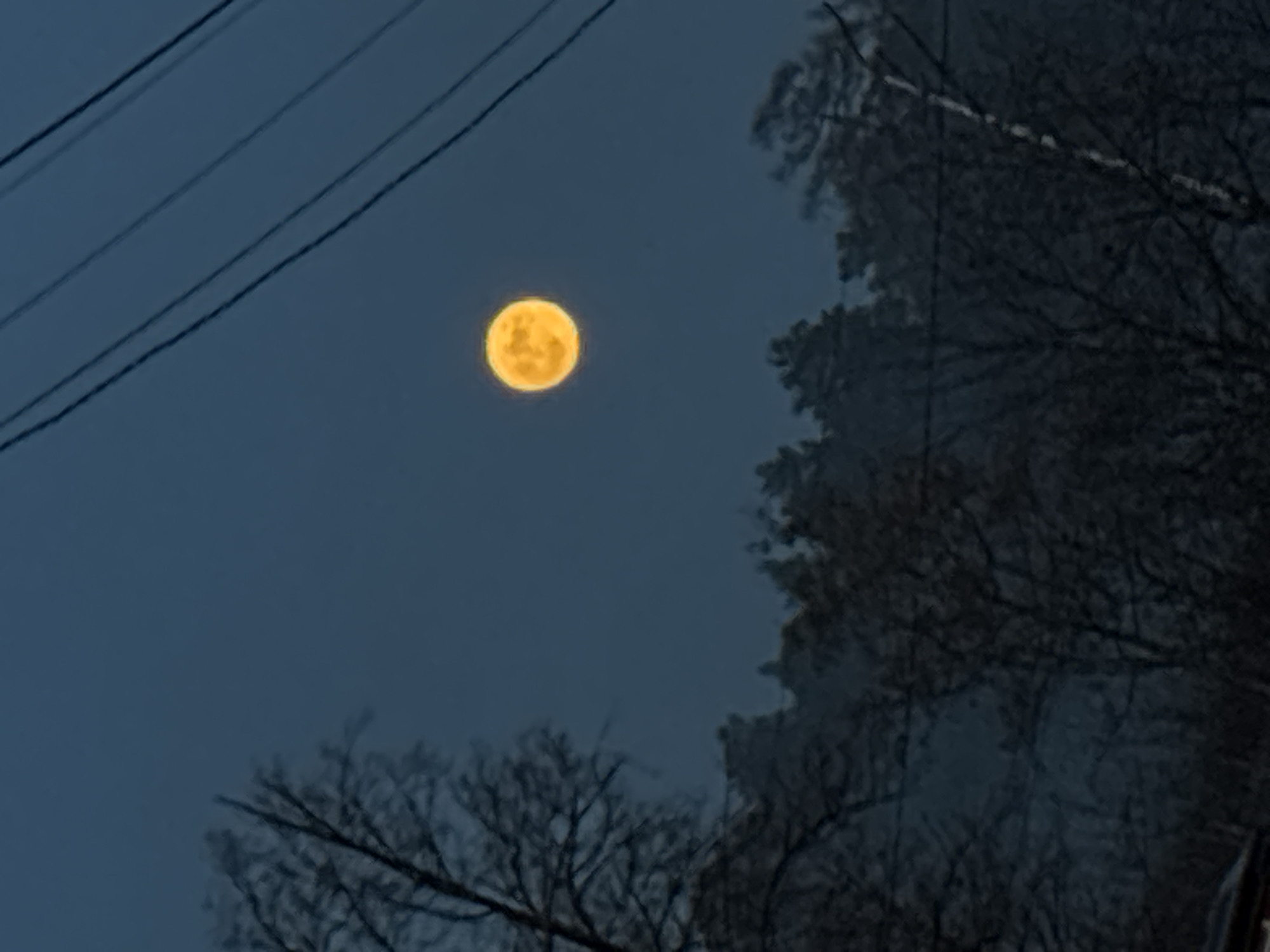 The image shows a full, bright yellow moon in a dark blue evening sky. Power lines are visible in the upper left corner. Bare branches of trees occupy the right and lower areas of the frame.