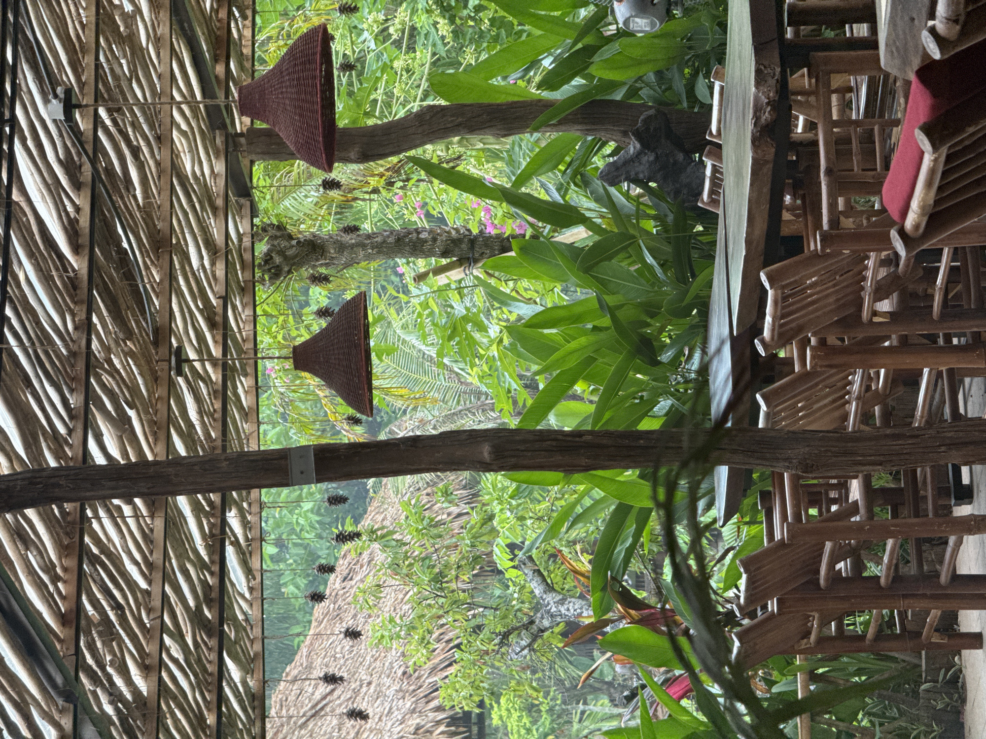 An outdoor seating area with wooden tables and chairs is set beneath a thatched roof supported by wooden posts. The area is surrounded by lush green tropical foliage, with a thatched-roof structure visible in the background. Two conical lamps hang from the ceiling, and pine cones are strung along cords as decoration. The scene appears to be in Nam Hoa Lư Ward, Vietnam, given the architectural style and vegetation.
