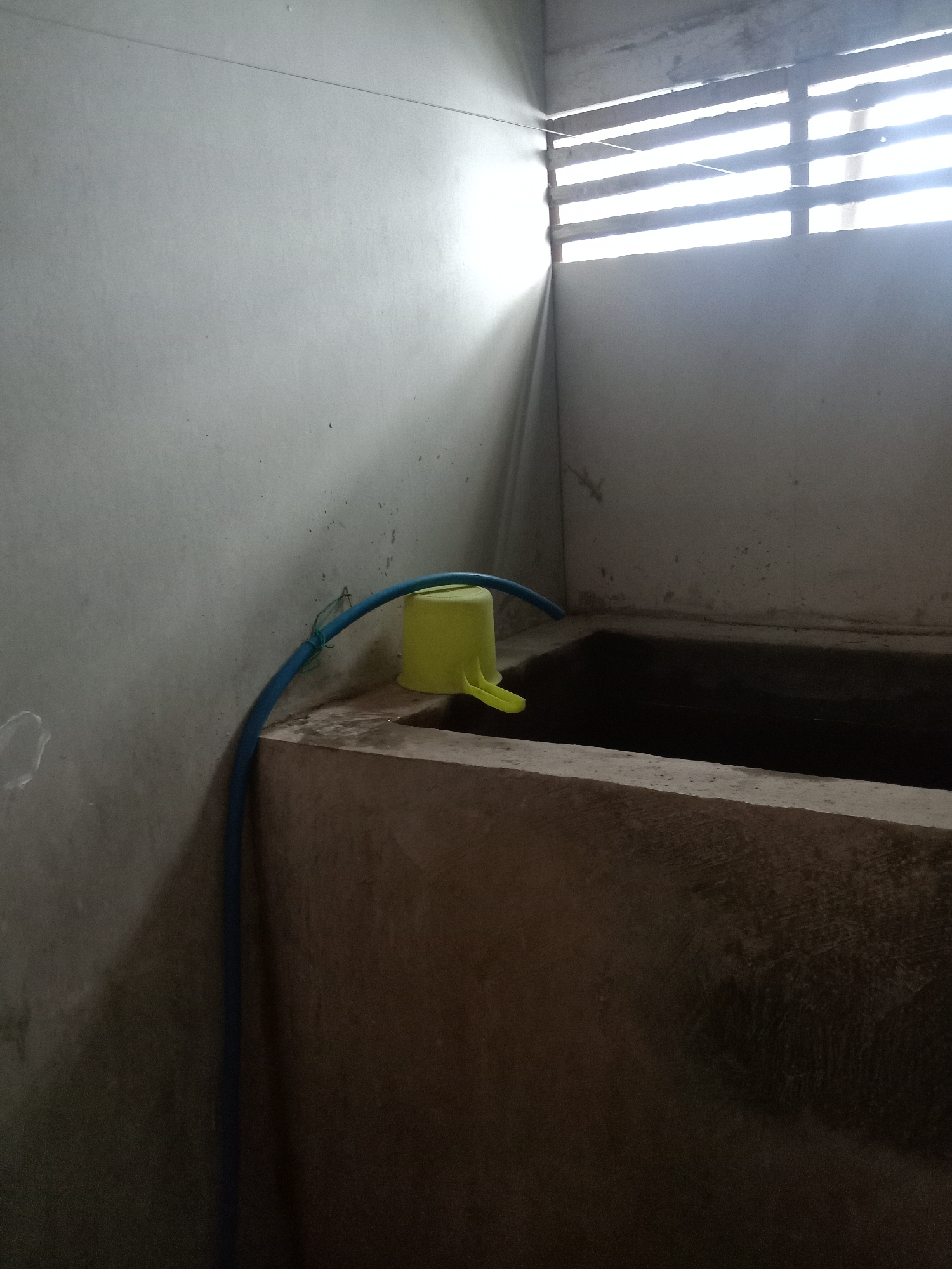 In a dimly lit room with concrete walls and a louvered window allowing bright light to enter, a yellow plastic dipper rests on the edge of a concrete trough filled with dark water. A blue hose is connected to a faucet on the wall and curves towards the trough, with a green string securing it in place. The environment appears to be a bathroom or washing area in Stiaji, Indonesia, likely a private residence or a simple public facility. The lighting suggests it is daytime, with the sun casting strong shadows.