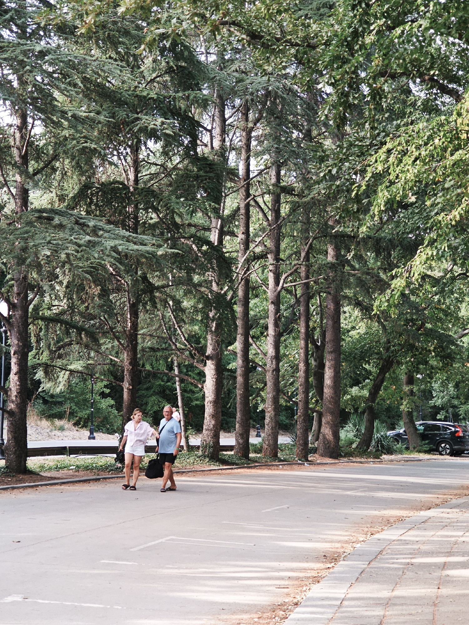 An outdoor daytime, full-shot photograph captures a paved walkway lined with tall evergreen trees in a park-like setting in Unknown, Unknown. Two individuals, a woman and a man, walk side-by-side on the walkway. The woman, on the left, wears a light pink button-up shirt and white shorts, with dark sandals and is carrying a black handbag. The man, on the right, wears a light blue t-shirt and dark shorts, with sandals and carries a black bag. They appear to be walking in the same direction. To the left of the walkway, a row of trees with dense foliage stands, and further back, a street is visible with a parked black SUV. The ground of the walkway is a light gray asphalt, and to the right, a brick-like border is present. Sunlight casts dappled shadows from the trees across the walkway.