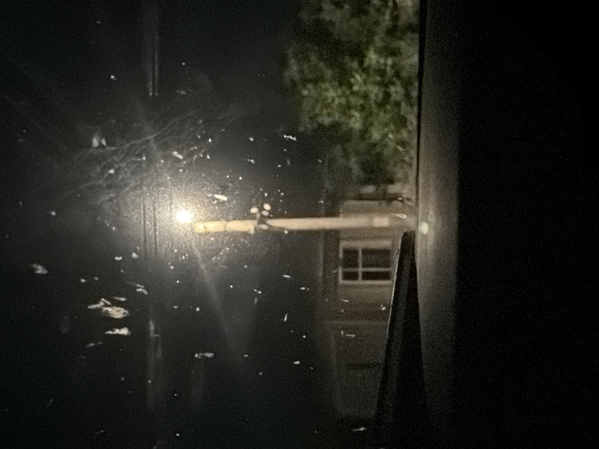 A night-time photograph captures a view through a window, possibly a car windshield, with water droplets and smudges obscuring the scene. In the mid-ground, a single streetlight illuminates a pale pole. Behind the pole, a low-rise building with a visible window is discernible. To the right, lush green foliage suggests trees. The foreground is dominated by the dark interior of the vehicle, with a portion of a wiper blade visible on the left. The overall impression is one of looking out into a dimly lit, possibly rainy, suburban or rural environment at night. The location is identified as Smyadovo, Bulgaria.