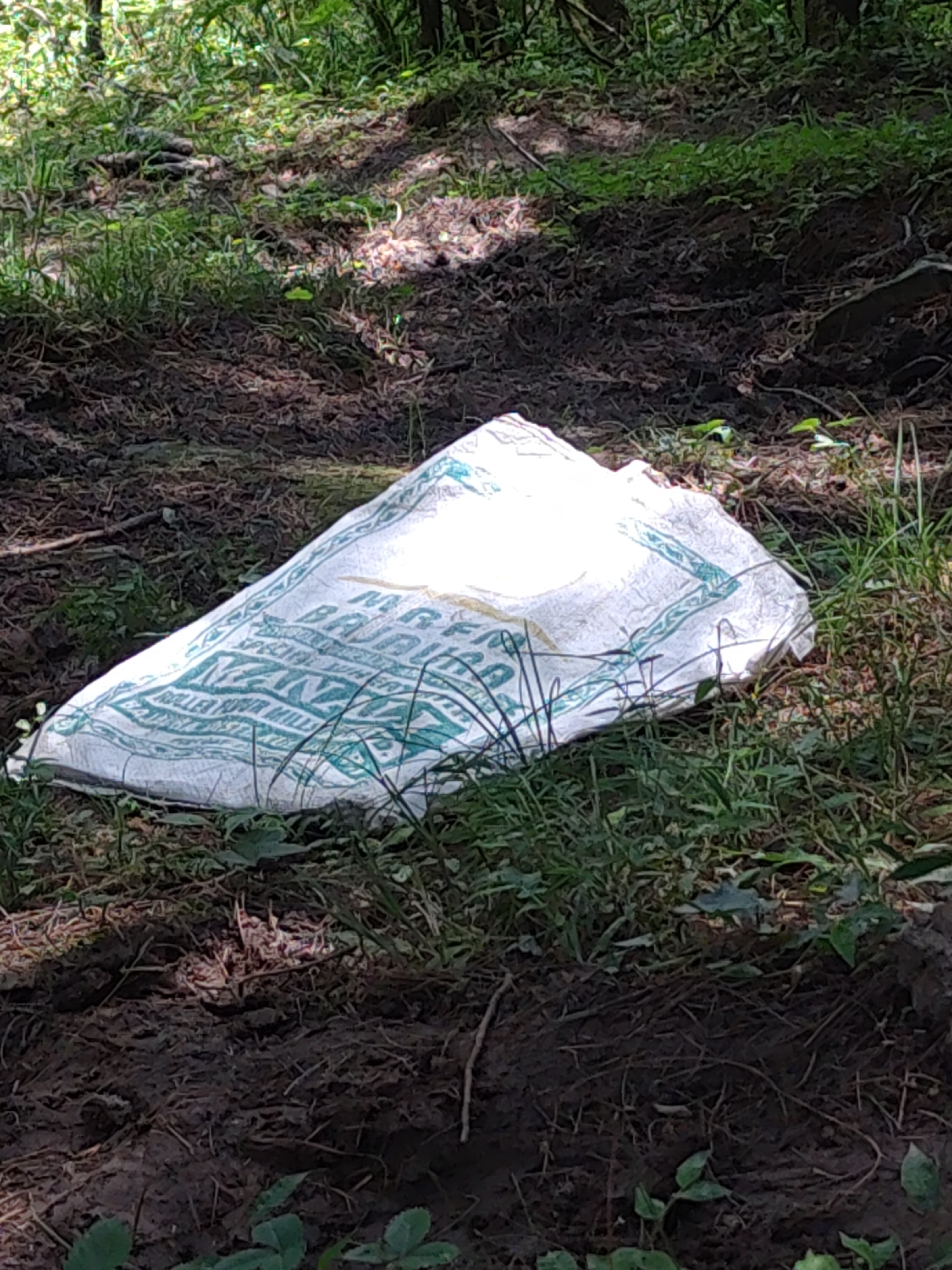 A white polypropylene woven bag with green writing is lying on the ground in a wooded area. The bag is partially covered by grass and leaves. The writing on the bag includes the words "MAR BAJRA FLOUR" and "ROLLER FLOUR MILLS". The ground is composed of dark soil and debris. Sunlight filters through the trees, casting dappled shadows on the scene.