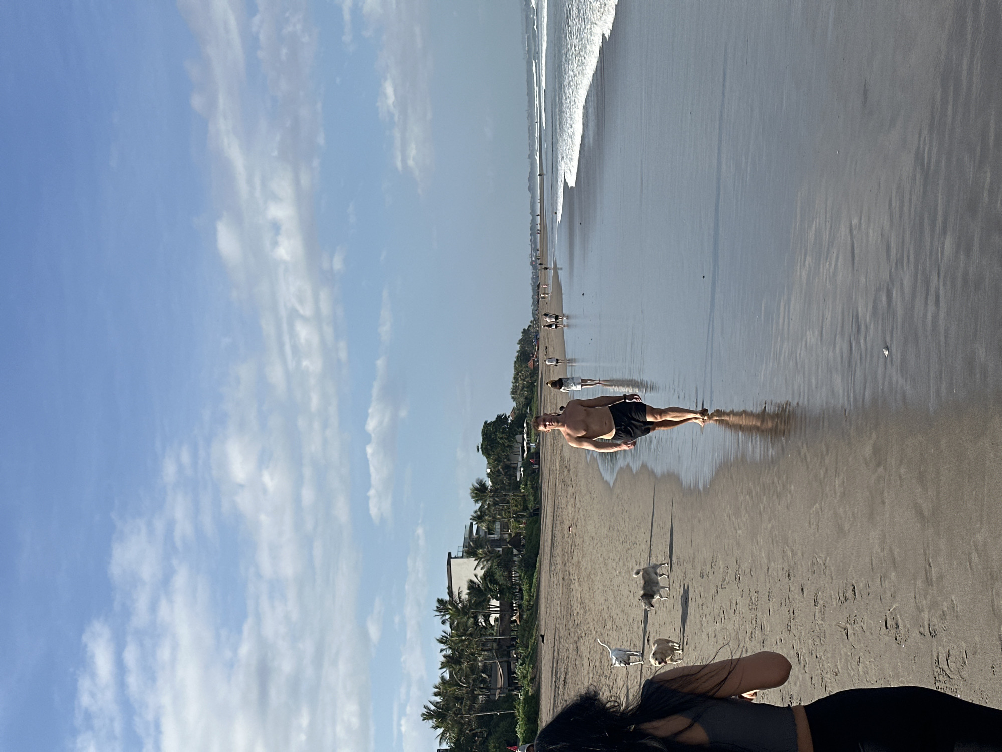 This image depicts a beach scene in North Kuta, Indonesia, on a bright, partly cloudy day. The foreground is dominated by a woman with dark hair, facing away from the camera and walking along the wet sand. To her left, three dogs are visible; a white dog, a light brown dog, and a grey and white dog. Further down the beach, a man with fair skin and short blond hair is walking towards the camera, wearing black shorts. Behind him, several other people are walking along the shoreline in the distance.
The sand is damp and reflects the sky in places. Gentle waves are breaking on the shore, creating a white foam line that stretches across the frame. In the background, a line of palm trees and some buildings are visible, suggesting a developed coastal area. The sky is a clear blue with scattered white clouds. The overall impression is one of a leisurely day at the beach.