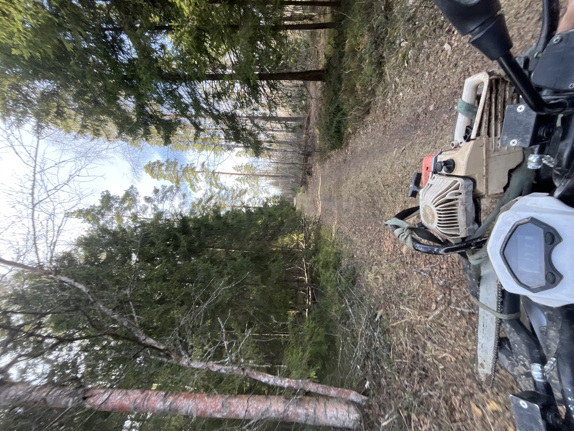 The image presents a view from a vehicle moving along a dirt road through a forest. The vehicle is equipped with a chainsaw, which is visible in the foreground. The trees are predominantly coniferous, and the road is narrow. The sky is visible through the canopy, showing a pale blue color. No people are visible in the image. The location, Razdol'e, Russia, is unknown with these objects alone.