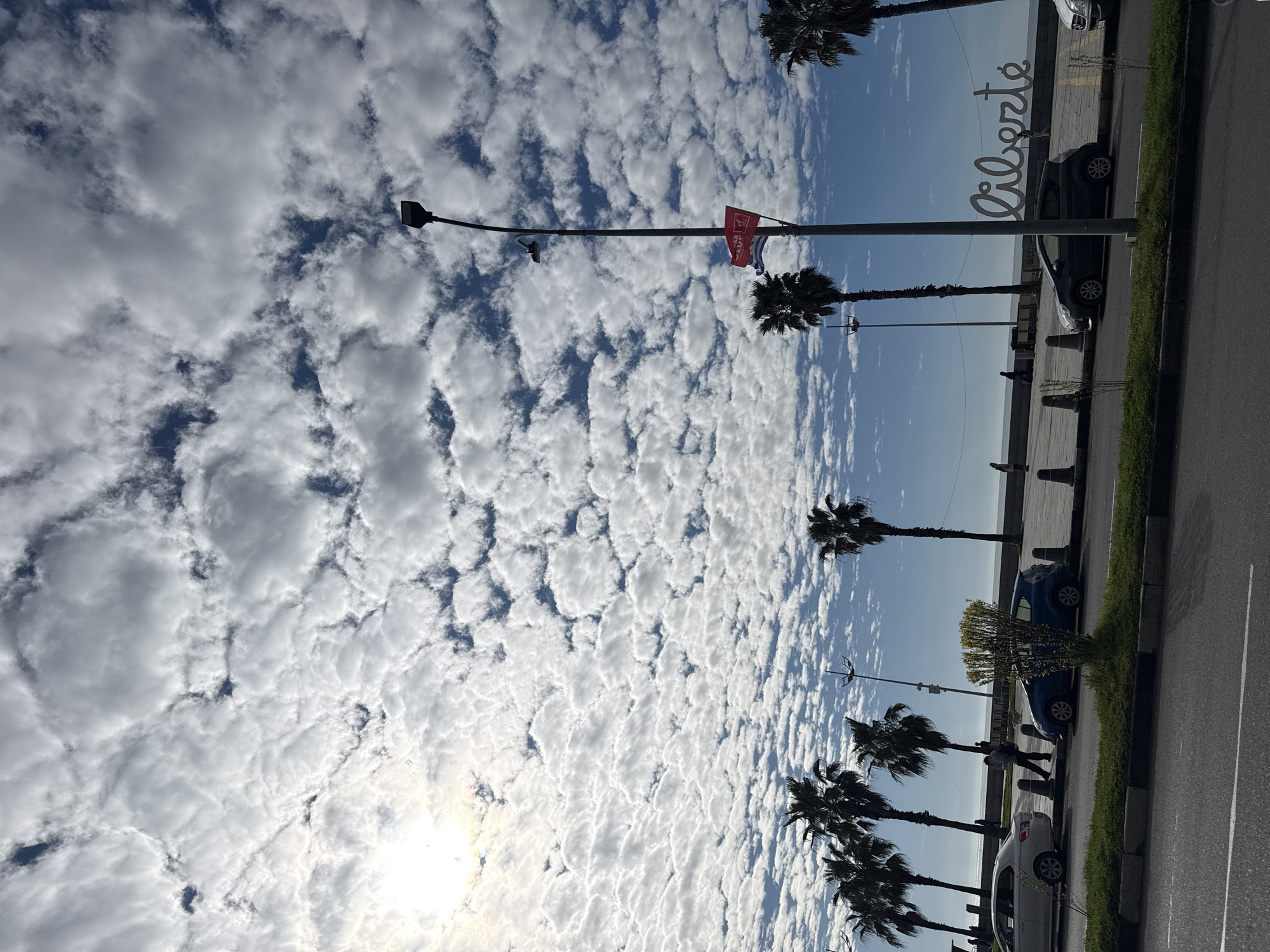 This image captures a vibrant coastal scene in Batumi, Georgia, on a bright, partially cloudy day. The photograph is taken along a promenade or road running parallel to the sea, offering a view of the sky, coastline, and urban elements.
The sky is a prominent feature, filled with an extensive pattern of scattered white, fluffy clouds against patches of clear blue. The sun is visible, shining brightly through the clouds in the lower left portion of the sky, suggesting late morning or early afternoon.
Along the roadside, a series of tall palm trees lines the pathway, casting shadows and adding a tropical ambiance. Several street lamps are interspersed among the trees, one of which bears a red flag or banner with a circular white emblem. A large, prominent sculpture spells out the word "liberté" (French for "freedom") in stylized white letters, standing on the promenade.
Below the palm trees and street lamps, a paved promenade and a strip of green grass separate the road from the calm expanse of the sea. Several pedestrians can be seen walking leisurely along the promenade. Cars are parked neatly along the side of the road, and others might be moving in the distance. The sea stretches towards the horizon, with faint outlines of land or structures visible in the far distance across the water. The scene evokes a sense of freedom and a pleasant day by the coast.