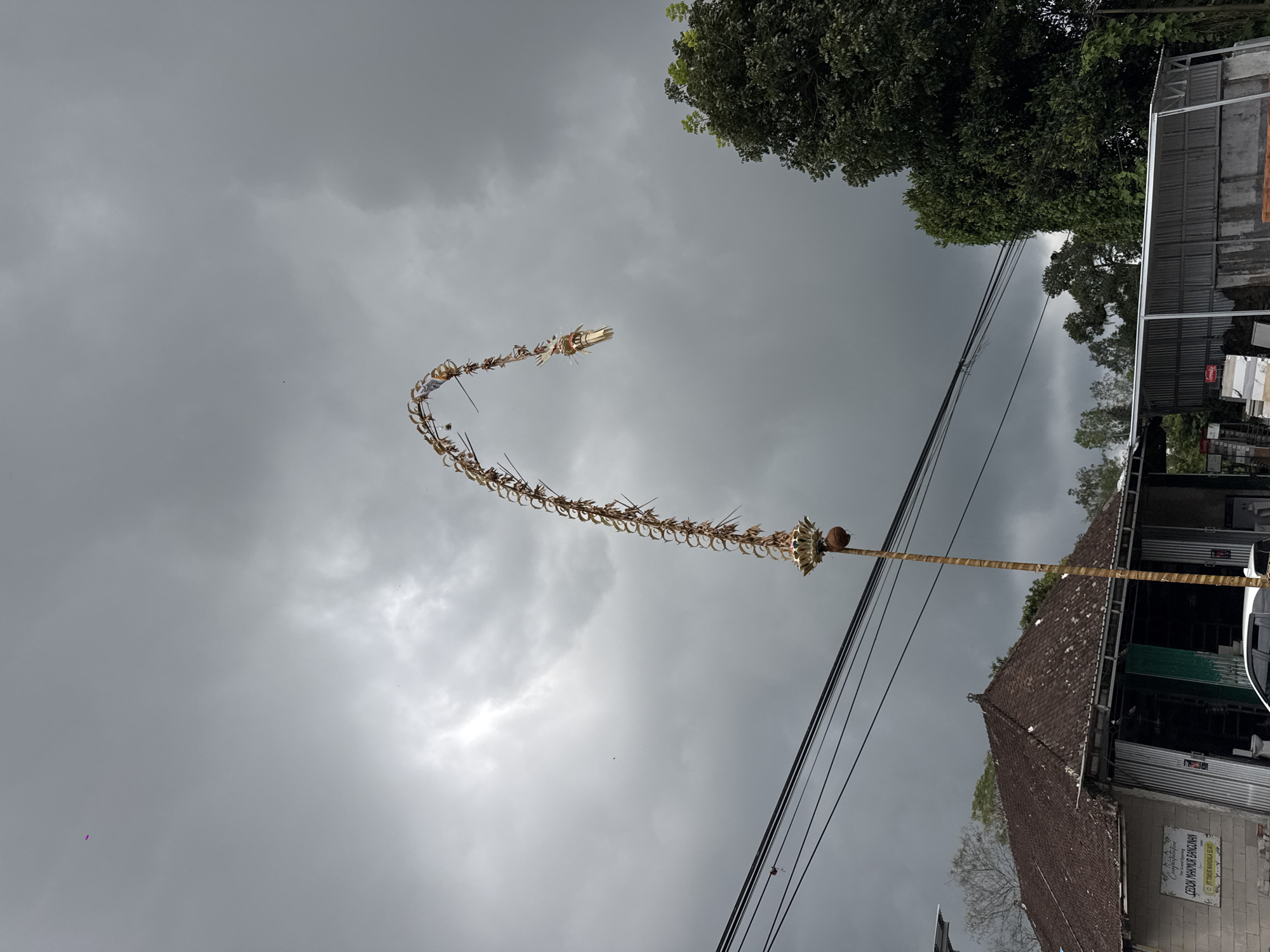 In Kintamani, Indonesia, a tall, ornate bamboo pole, likely a Penjor, stands prominently against a dramatic, overcast sky. The Penjor curves gracefully, adorned with woven palm leaves and a decorative element resembling a dragon's head at its apex. A coconut hangs from the pole near its base. Below, a building with a tiled roof and metal siding is visible, with a sign that reads "CEDON MANGKUR BANGUNAN." Electrical wires crisscross the foreground, and lush green trees frame the scene to the right. The overall atmosphere suggests a cultural or ceremonial occasion taking place under a moody, cloudy sky.