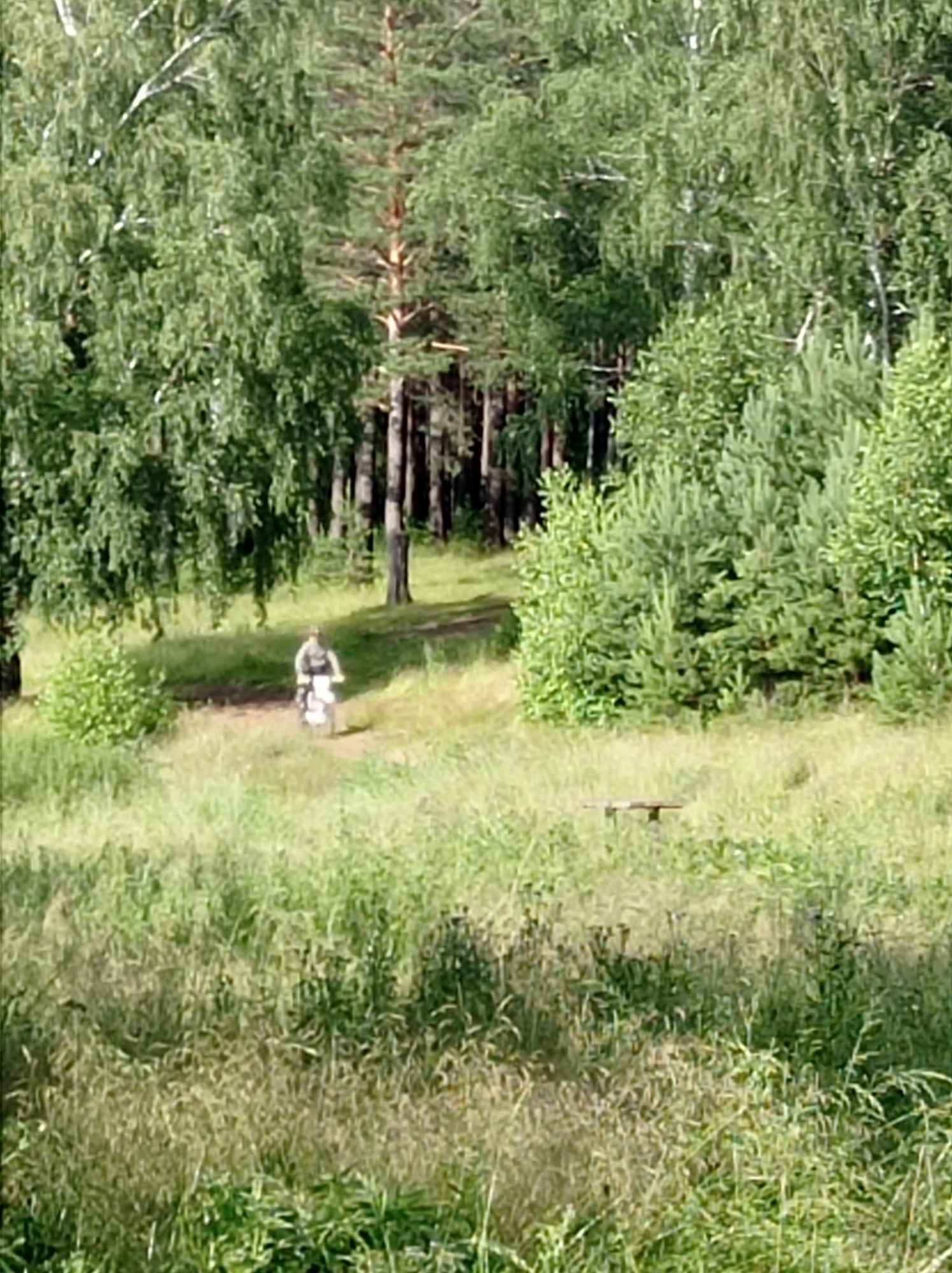 A person rides a white motorcycle through a grassy field with trees in the background. The scene appears to be a forest or park, with tall trees and lush greenery. The sun is shining, suggesting it is daytime. The overall mood is peaceful and natural. There is no visible text in the image. The presence of a motorcycle and a rider indicates outdoor recreational activity. The location context suggests this scene is in Degtyarsk, Russia.