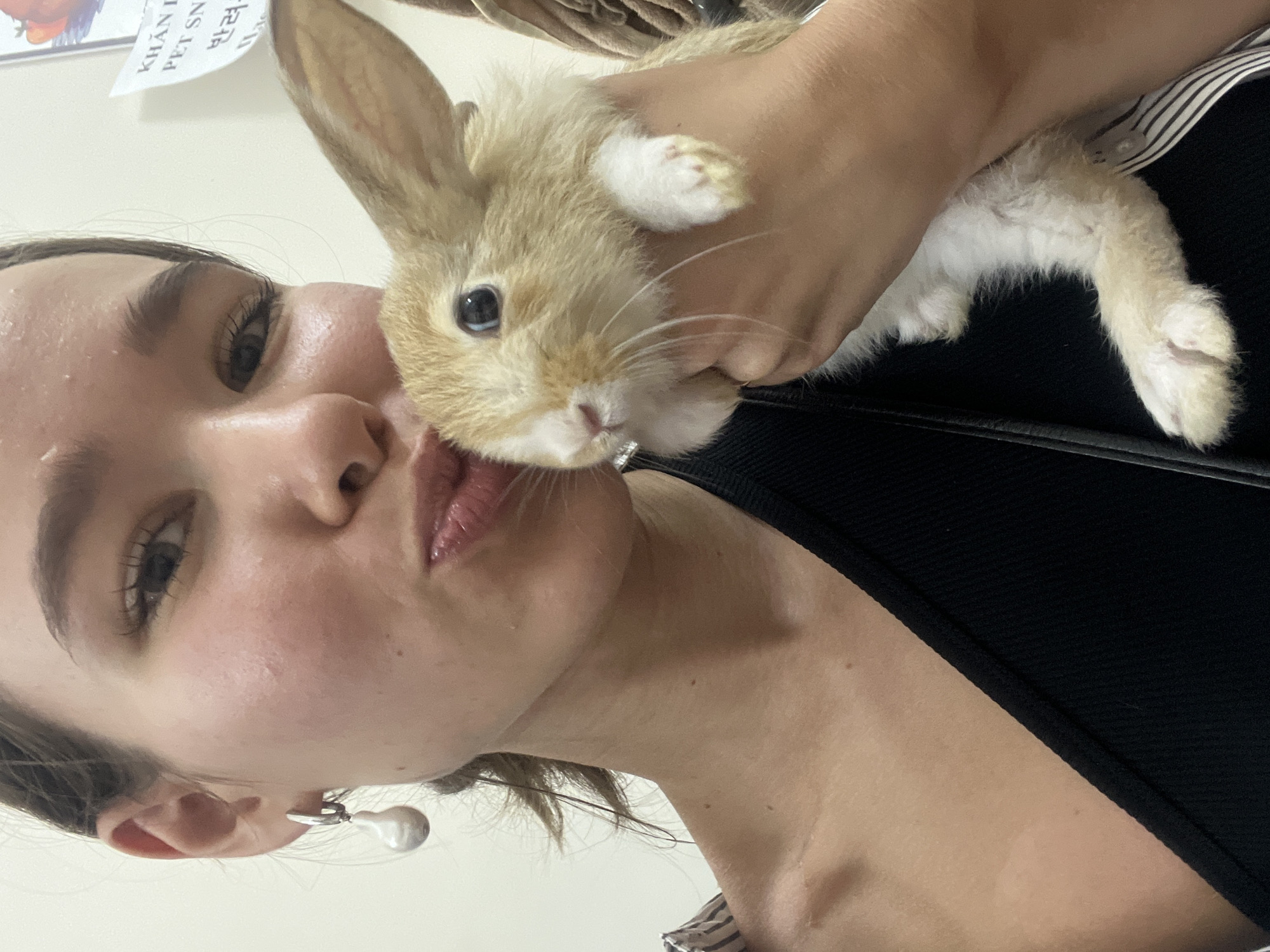 A young woman with light skin, brown hair, and an earring is holding a tan and white rabbit close to her face. The woman's face is in focus, with her eyes looking towards the camera. The rabbit is being held in the woman's hand and is positioned near her lips. The background appears to be indoors, with a sign partially visible in the upper left corner with writing in English and another language. The woman is wearing a black top, and part of what appears to be striped fabric is visible on her shoulder. This image was taken in Nha Trang Ward, Vietnam.