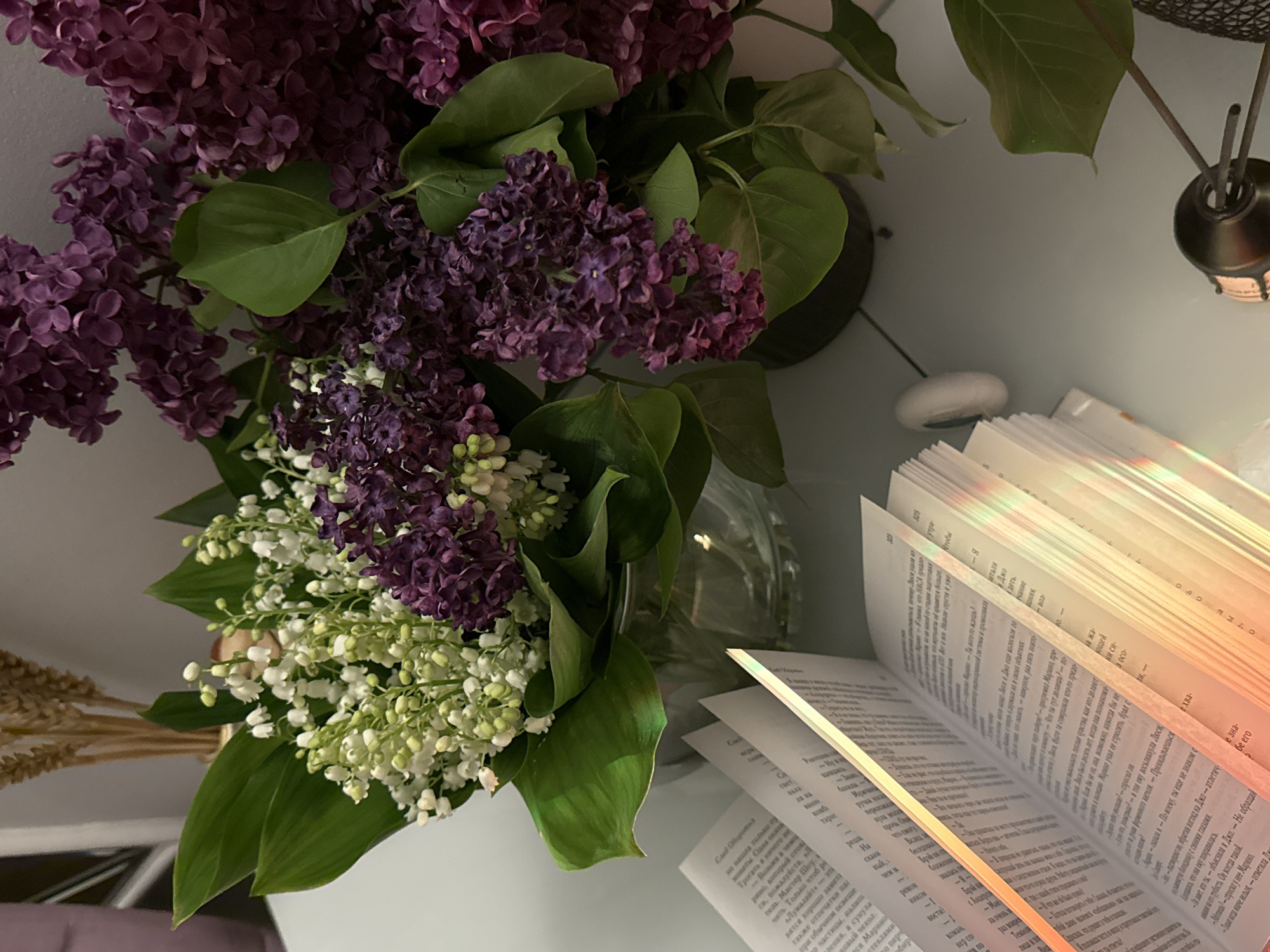 A still life composition features a vibrant bouquet of flowers, an open book, and various household items on a light-colored surface. The central subject is a lush arrangement of deep purple lilacs and delicate white lilies of the valley, held in a clear glass vase, partially visible. Green leaves provide a rich backdrop to the blossoms.
To the right of the flowers, an open book displays pages filled with text written in a Cyrillic-like script, predominantly Russian. A notable detail is the colorful, rainbow-like reflection of light that streaks across the book's pages, adding an ethereal quality. Visible text includes names such as "Мистер Шоу" (Mr. Shaw), "Марино" (Marino), "Джо" (Joe), "Люси" (Lucy), and "Мария" (Maria), suggesting a narrative context. Phrases like "Трогать в нечего" (Touch for nothing), "что НАСА предло" (that NASA offered), and "утра" (morning) can be discerned, along with the page number "325."
Further to the right, a dark, metallic reed diffuser with several reeds is positioned near the book, accompanied by a small, white, circular object. In the bottom left corner, a bundle of dried, golden wheat stalks adds a rustic element to the scene.
The image conveys a tranquil and cozy indoor setting, possibly an evening scene due to the soft, ambient lighting and the warm, diffused glow on the book pages. No specific activity is captured, but the arrangement suggests a moment of peaceful contemplation or relaxation, perhaps before or after reading.
