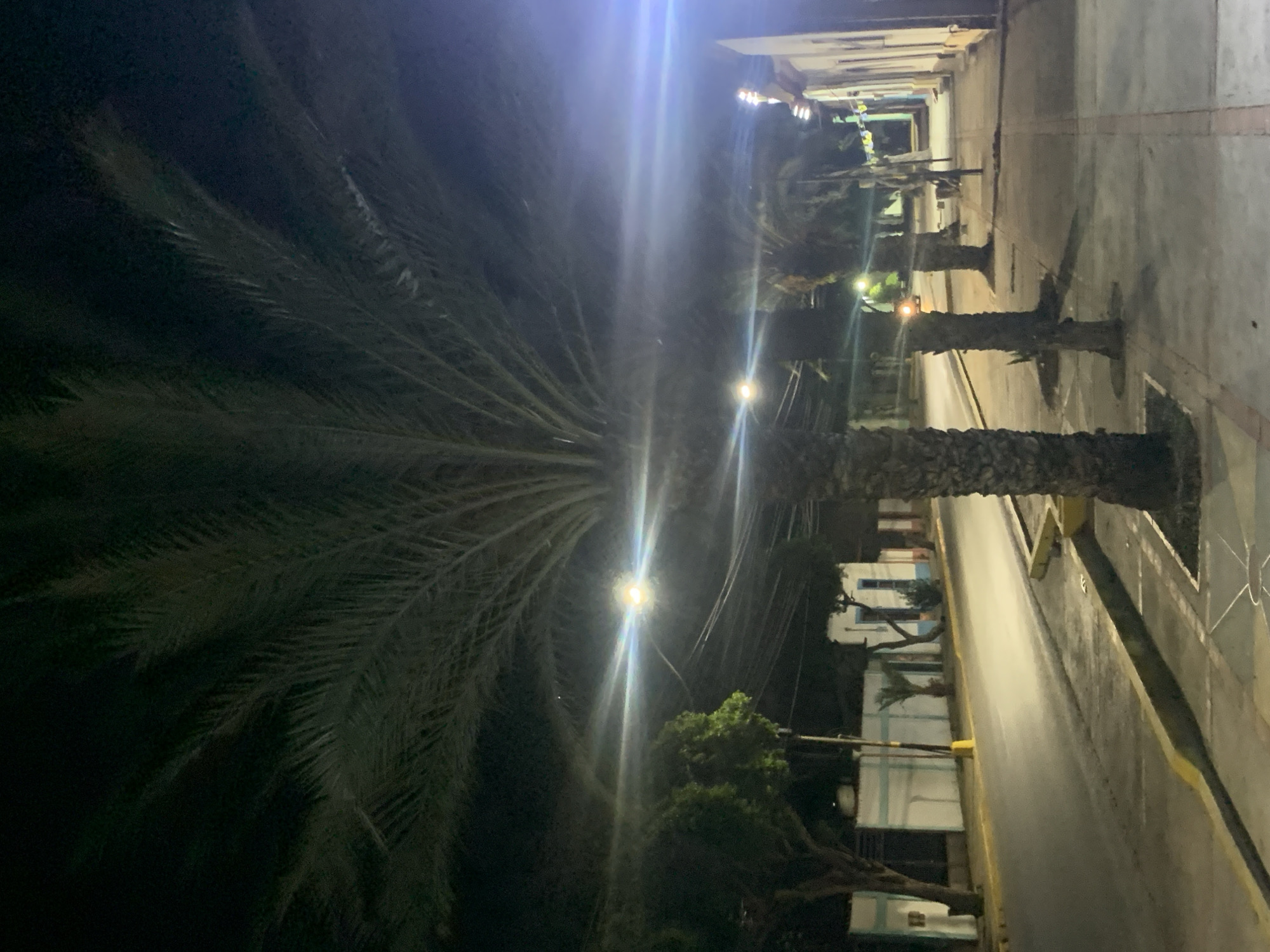 This is a nighttime photograph taken on a street in Santa Ana, Venezuela, likely in the early morning hours due to the lack of people. The scene is illuminated by streetlights and the glow from buildings. In the foreground, a large palm tree dominates the left side of the frame, its fronds reaching towards the dark sky. To the right, a sidewalk runs parallel to the street, lined with more palm trees of varying sizes.
The street itself appears to be paved and is relatively empty, with only a few parked cars visible in the distance. The buildings lining the street are illuminated, revealing their facades and windows. Some of these buildings have a light blue and white color scheme. There are also power lines visible overhead, strung between poles.
In the background, the street curves slightly and disappears into the darkness. A few streetlights are visible along the street, casting pools of light. There is a faint glow emanating from some of the buildings. The overall impression is one of quietness and stillness, characteristic of a city at night.
No people are visible in the frame. The environment suggests a tropical or subtropical climate, given the presence of palm trees. The photograph is notable for its strong contrast between light and shadow, and the way the artificial lights create a hazy, ethereal effect. The image captures a slice of urban life in Santa Ana, Venezuela, at a time when the city is at rest.