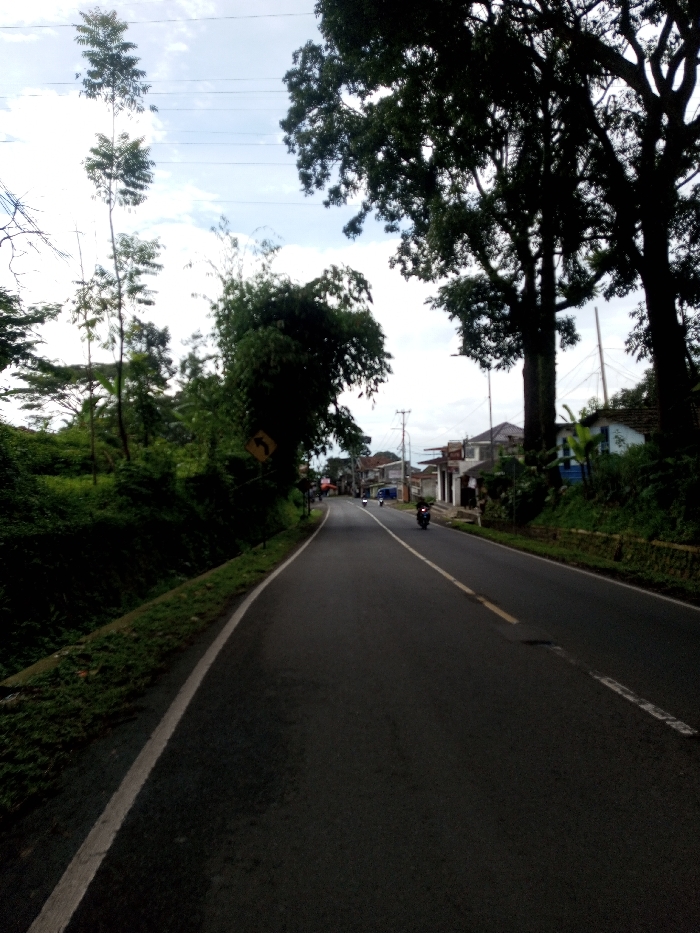 This image displays a two-lane asphalt road in Domphoog_Dungkarchhoeling, Bhutan, under a partly cloudy sky during daylight. The road curves gently to the left and recedes into the distance. A solid white line marks the left edge of the road, bordering an upward-sloping grassy embankment densely covered with green foliage and various trees. A yellow diamond-shaped road sign depicting a left-curving arrow is visible within the greenery on the left. The road's two lanes are delineated by a dashed white line that transitions into a solid yellow line further ahead, with a faded yellow patch also present in the right lane.
On the right side of the road, a series of single to two-story buildings, consistent with residential or commercial structures, are visible behind a foreground of large trees with dense, dark canopies. One building features a light blue lower facade. Utility poles supporting overhead power lines are present along the right side of the road, extending into the background. Three motorcycles are observed moving away from the viewer along the road; one dark-colored motorcycle is in the midground right lane, and two additional motorcycles are visible further ahead in the distance. The sky above is light blue with scattered white clouds, and multiple horizontal utility lines are discernible across the upper left portion of the frame.