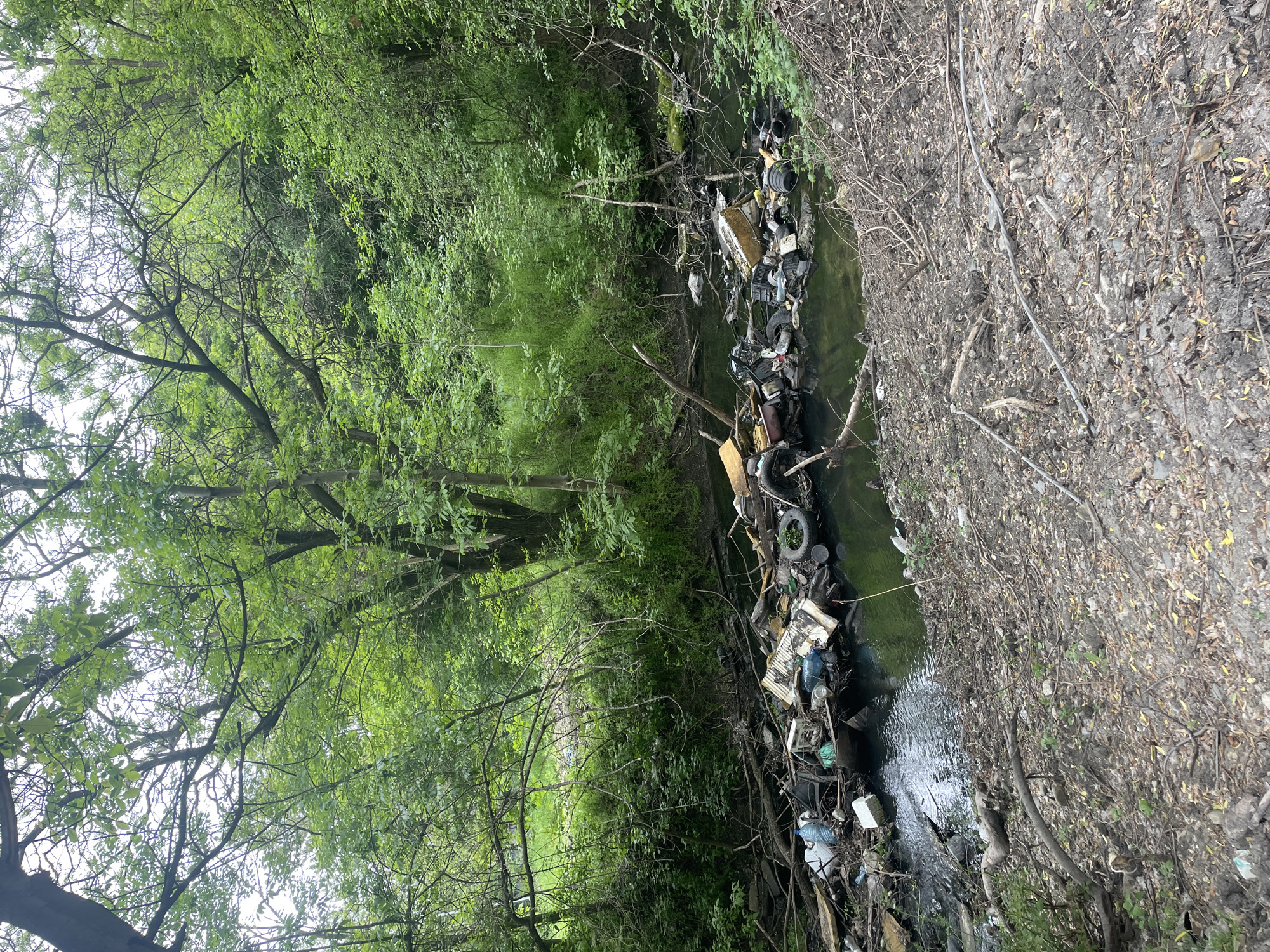 The image depicts a heavily polluted stream in what appears to be a wooded area. The water is murky and filled with various types of debris, including tires, plastic bottles, styrofoam, and other unidentified trash. The banks of the stream are covered with vegetation on one side and dry earth and branches on the other. The image shows no people. The precise location within Plovdiv, Bulgaria cannot be determined from the image alone.