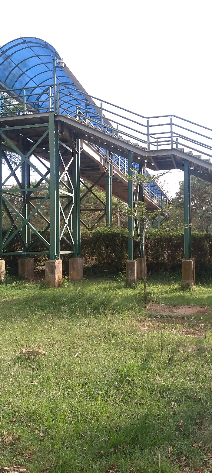 A green metal pedestrian overpass, supported by braced columns resting on concrete bases, is situated in a grassy area in Bondo, Kenya. The overpass features grey metal handrails and a partial, arched roof constructed from translucent blue corrugated plastic. A single light fixture is visible on the underside of the blue roof segment. The foreground consists of unkempt green grass with sparse dry leaves and dirt patches. A small, slender tree sapling stands upright between the overpass supports. Behind the overpass's foundation, a dense line of green hedges extends horizontally, with additional mature trees visible further in the background. The sky is bright and uniformly white, indicating an outdoor, daytime scene with strong illumination casting shadows on the ground. No individuals or active subjects are present.