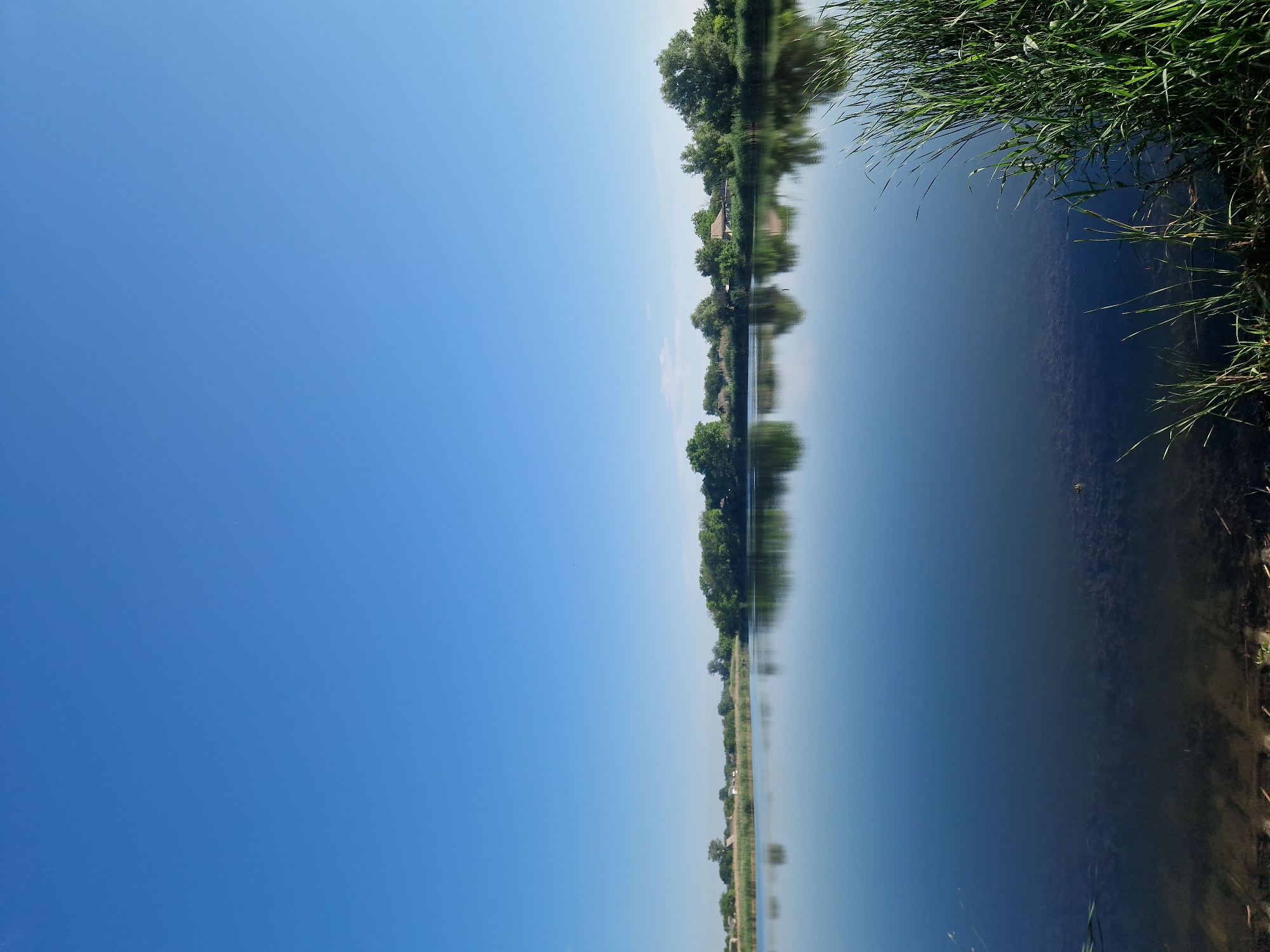 The image depicts a serene, wide-angle view of a calm body of water, likely a lake or river, with a clear, vibrant blue sky overhead. The water is glassy, perfectly reflecting the lush green trees and the few scattered houses that line the opposite bank. The shoreline on the far side features a dense growth of trees and reeds, punctuated by several buildings with light-colored roofs, suggesting a rural or semi-rural setting within or near the city of Ustyvytsia, Ukraine. In the foreground, tall green reeds stand prominently on the right side of the frame, adding a natural element to the scene. The water itself is dark and reflects the sky and vegetation with high fidelity, creating a mirror-like effect. The overall impression is one of tranquility and natural beauty under a bright, cloudless sky.