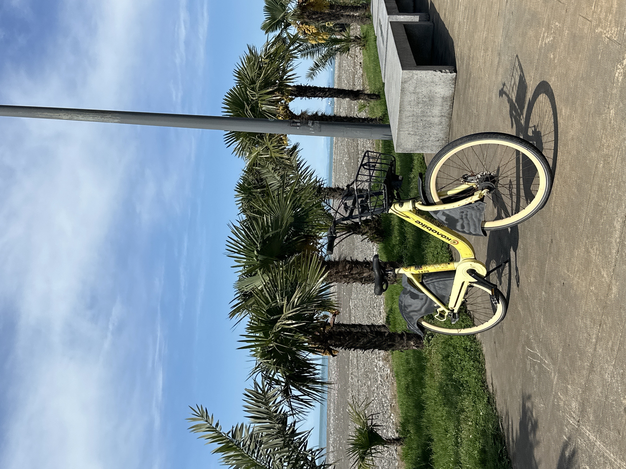 A yellow bicycle rests on a concrete path lined with palm trees in Batumi, Georgia. The beach is visible in the background, along with a bench beside the bicycle. The sky is blue with light clouds. A utility pole is also visible, extending upwards from the foreground.