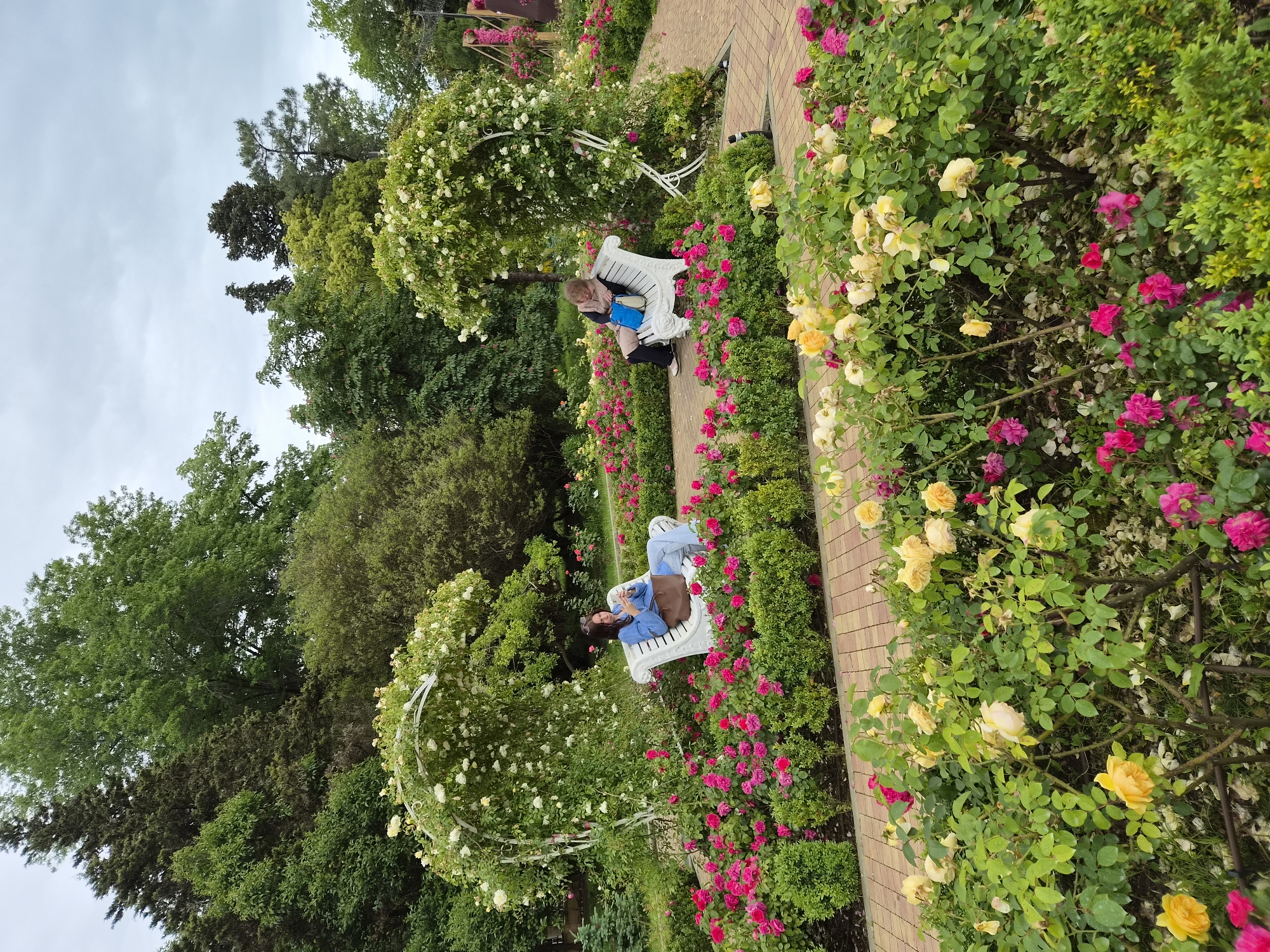 The image shows a garden scene, likely in a park or botanical garden. Two people are sitting on benches within a rose garden. One person is wearing a blue shirt and light-colored pants, the other person is wearing black pants and a light jacket. The benches are white and positioned along a brick pathway. The garden is filled with roses of various colors, including yellow, pink, and red. Arches adorned with white flowers arch over the benches. Dense green trees surround the garden. The location is the city of Sochi, Russia.