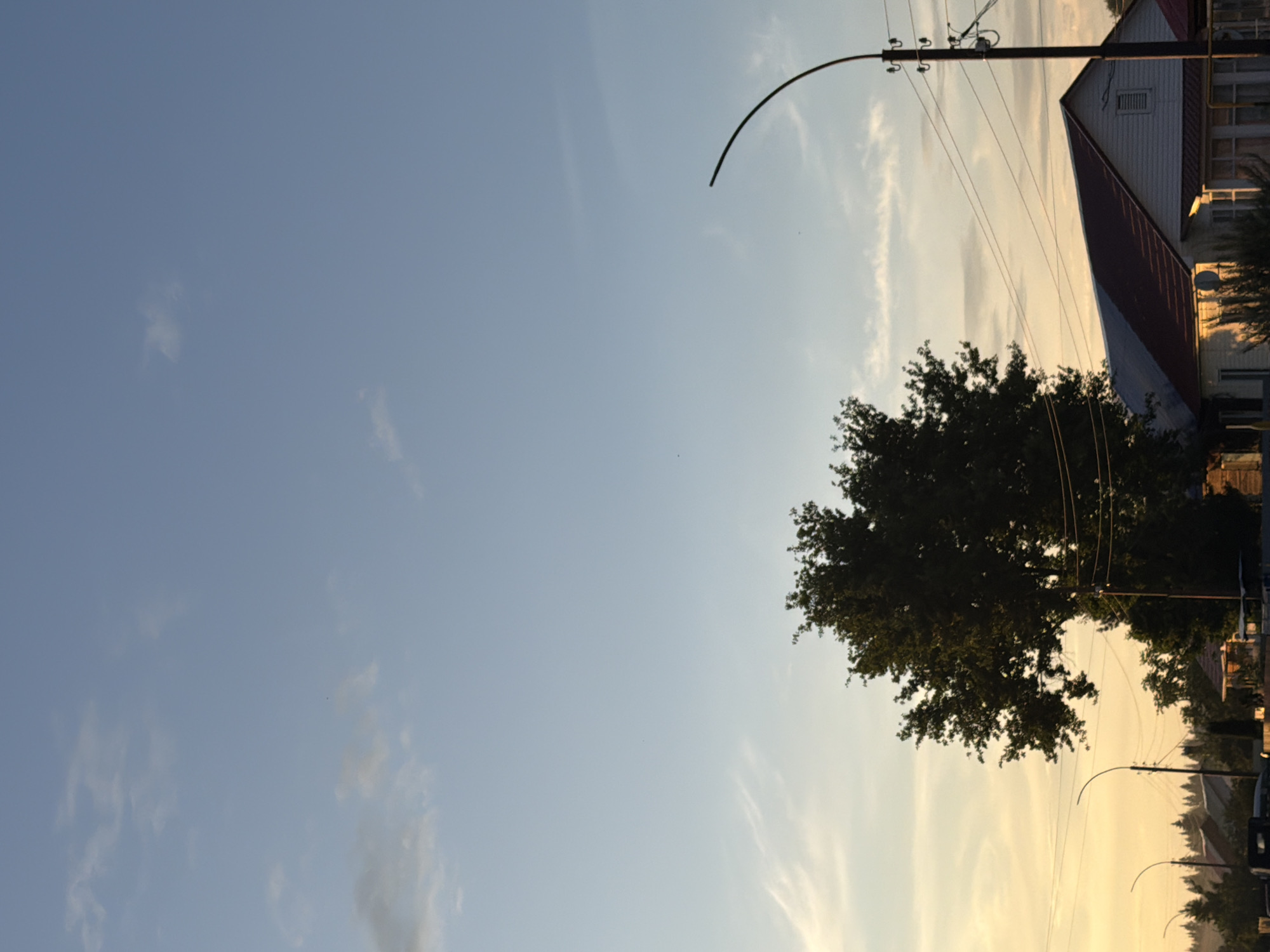 The image depicts a scene in an urban environment. A large tree with dense foliage stands prominently in the foreground, silhouetted against a pale blue sky with wispy clouds. To the right, a white house with a red roof is visible, with power lines and a street lamp nearby. The sun is low on the horizon, casting a warm glow and creating long shadows, suggesting either dawn or dusk. In the background, a line of trees and other buildings can be seen. The overall impression is a peaceful, somewhat rural setting within a city.