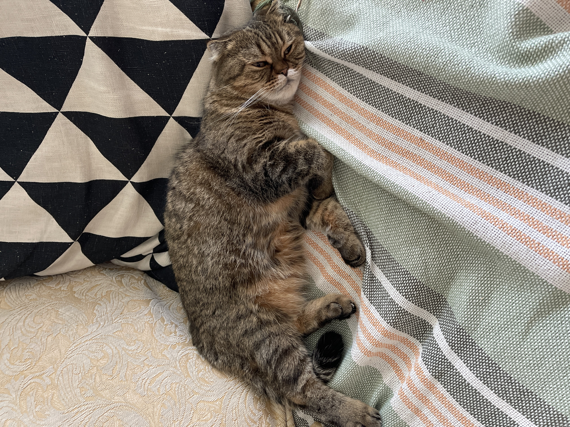 This is a medium-shot, high-angle photograph of a domestic cat lying on a sofa. The cat, a tabby with brown and grey fur, is curled up on its side, with its eyes partially closed and its head resting on a striped blanket. The blanket has horizontal stripes of green, white, grey, and peach. To the left of the cat is a pillow with a black and white geometric pattern of triangles. Below the cat and the geometric pillow is another cushion with an embossed floral pattern. The overall scene suggests a relaxed indoor setting, possibly a living room. The lighting appears to be natural, indicating daytime. The cat's relaxed posture and partially closed eyes convey a sense of comfort and sleepiness. There are no visible text elements in the image. The location context is Dzerzhinsk, Russia.