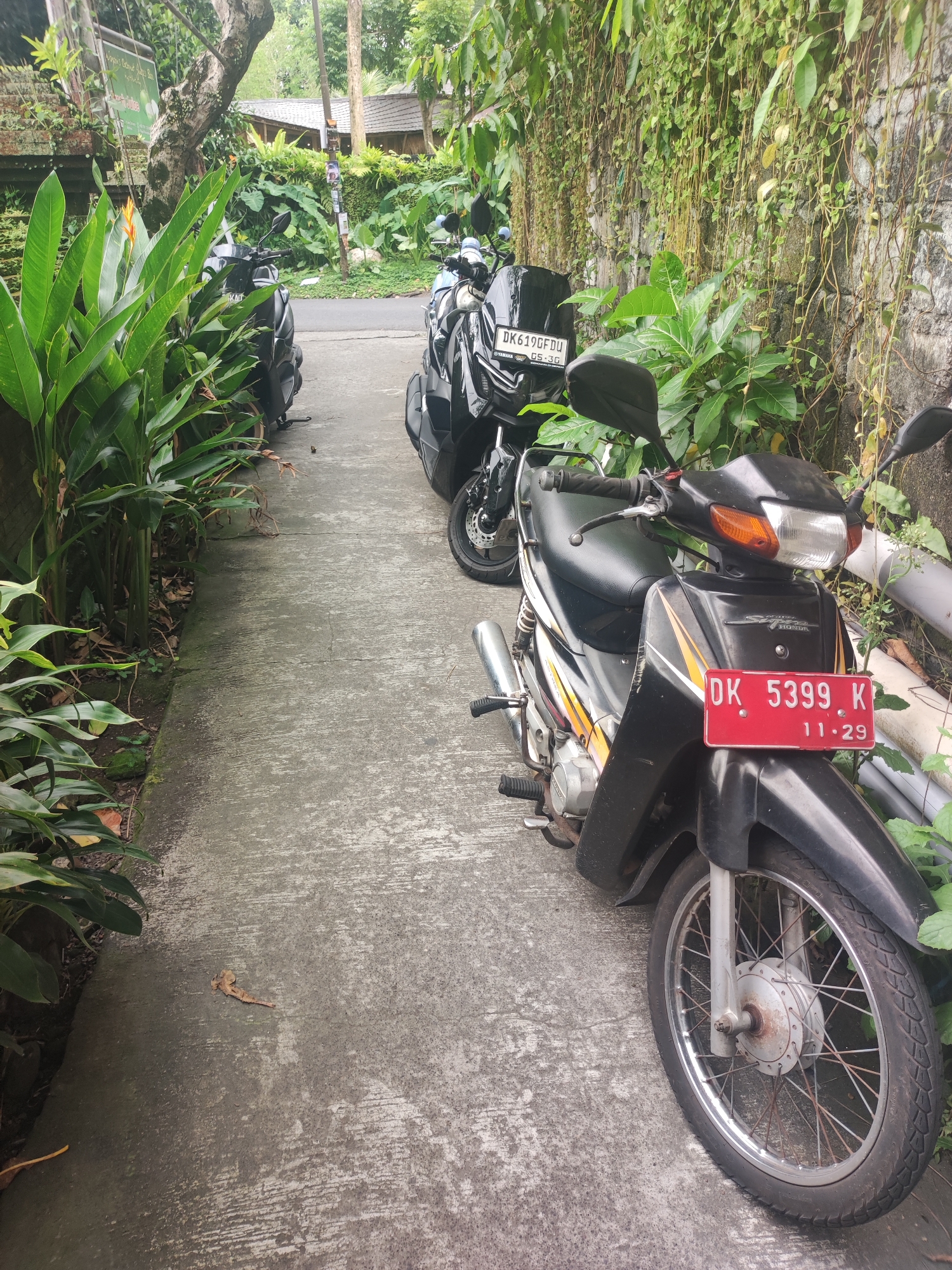 Memory