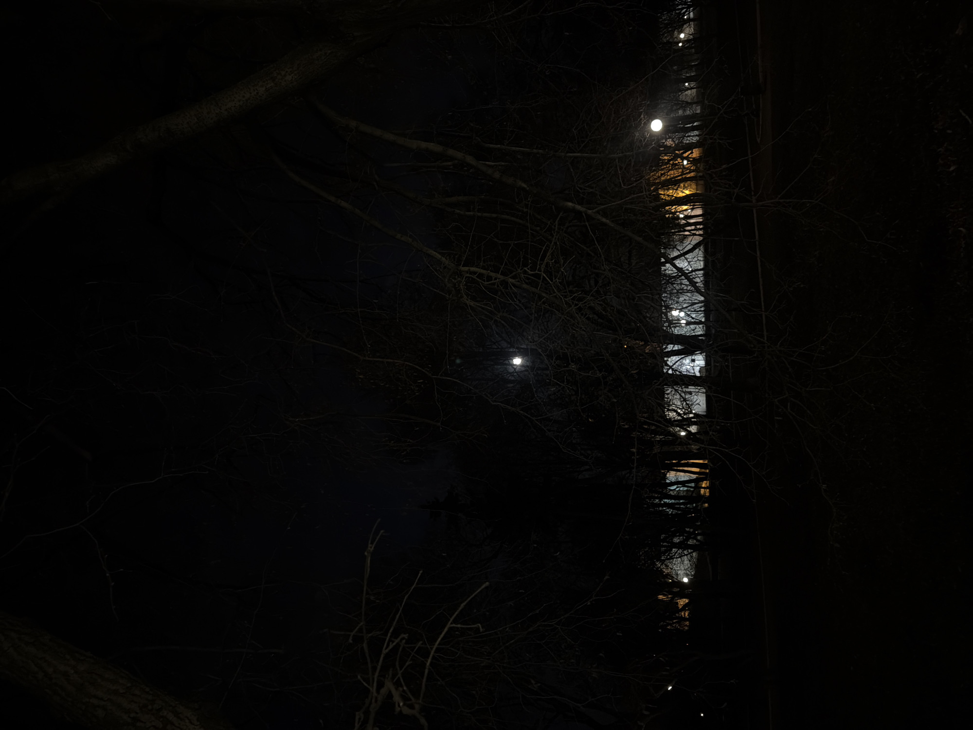 The image is taken at night and appears to be a street view, with trees and a building visible. The building is lit with multiple windows with lights inside. It is not possible to confirm the location as Moscow, Russia. The photo is very dark, the trees are bare, and the lighting in the scene is predominantly from the building's windows.