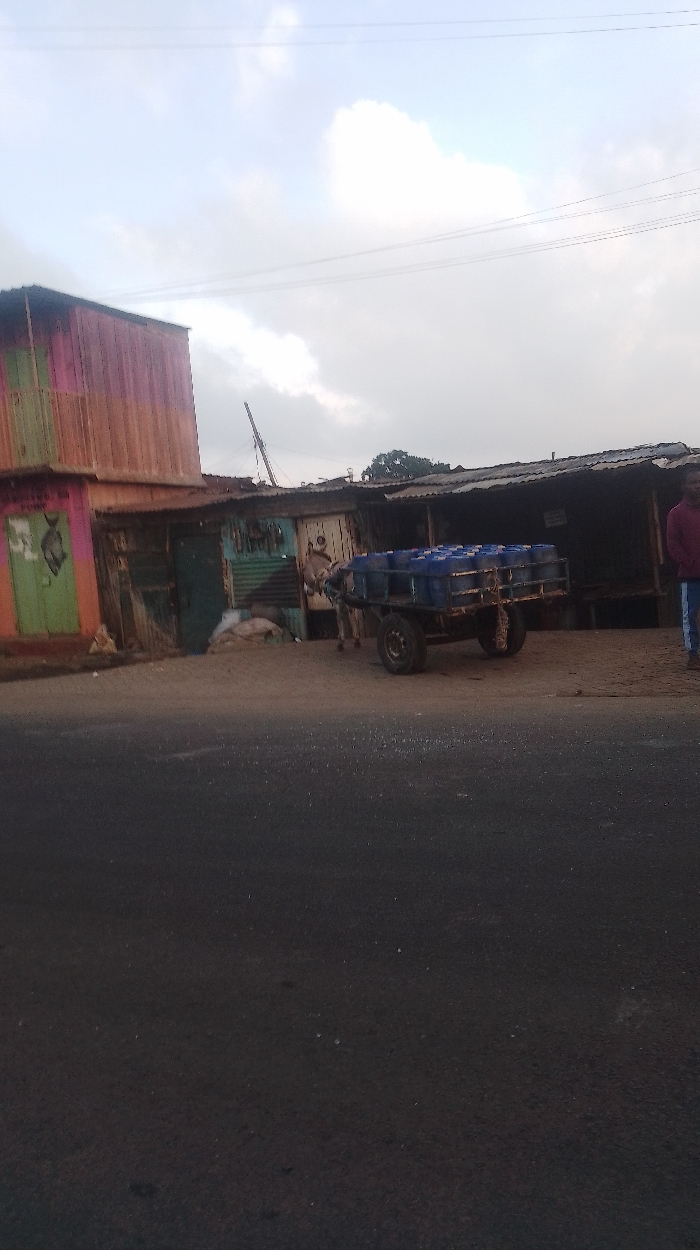 A donkey pulls a two-wheeled cart loaded with blue containers down a street in front of a collection of small buildings. Some of the buildings appear to be shops or stalls. A person stands nearby on the edge of the frame. The foreground is a dark asphalt road, while the background shows a cloudy sky. The scene seems to depict a common mode of transport in a less developed area.