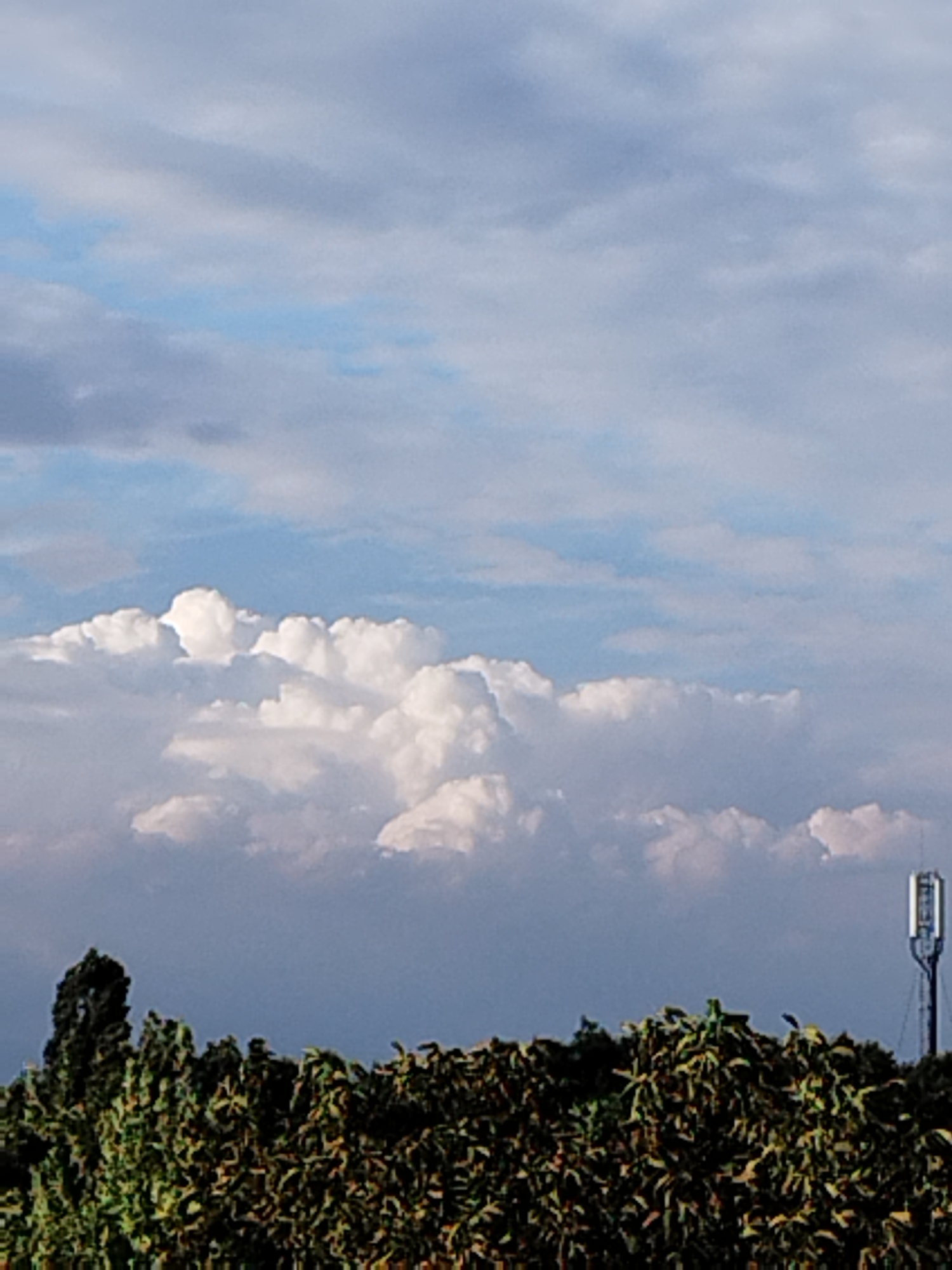 A telecommunications tower stands tall in the distance, silhouetted against a backdrop of fluffy white clouds on a bright day. The tower, a slender metal structure, is topped with antennae and appears to be in an open area. In the foreground, a dense line of lush green trees and foliage forms a natural border, their leaves rustling gently in the breeze. The sky above is a canvas of soft blue, punctuated by the dramatic formations of white clouds, hinting at fair weather. The overall scene evokes a sense of rural tranquility, with the modern technology of the tower a stark contrast to the organic beauty of nature. This image was taken in Bucharest, Romania, a city known for its blend of urban development and green spaces.