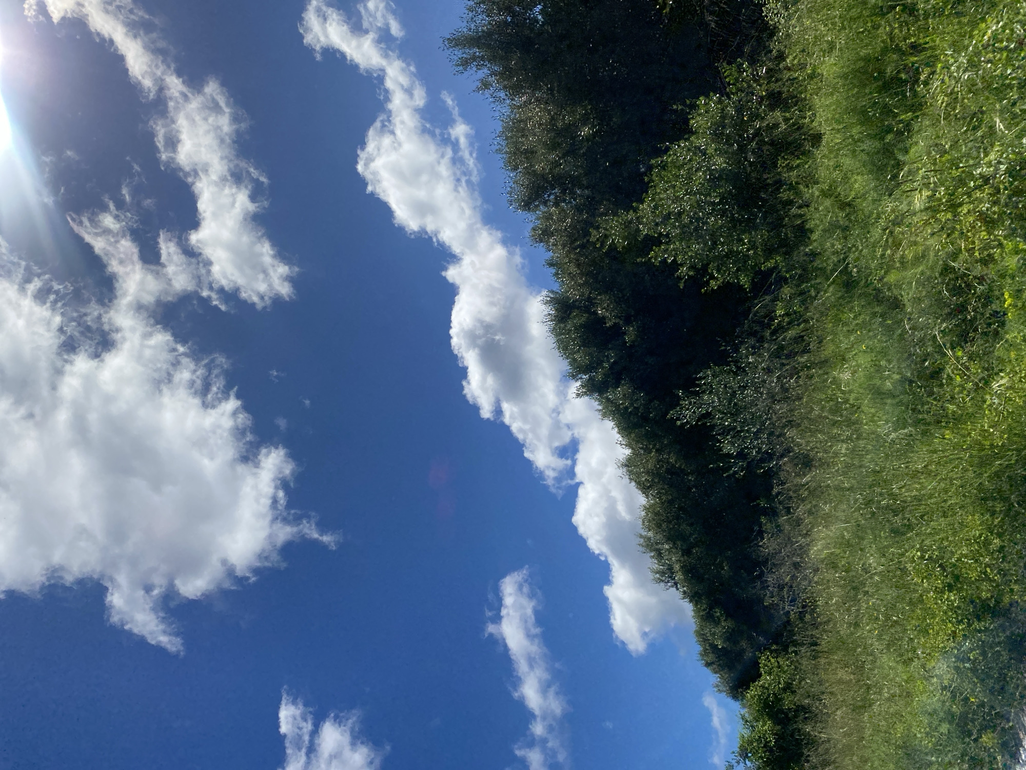 The image presents a view of the sky and foliage, likely taken outdoors in Sant Feliu de Codines, Spain. The upper left of the frame shows a bright sun and scattered white clouds against a blue sky. The right side of the image features a band of green trees and grass, suggesting the edge of a field or wooded area. The image is oriented on a diagonal, giving a perspective of the landscape moving from sky to the tree line. The image contains no identifiable people or interactions.