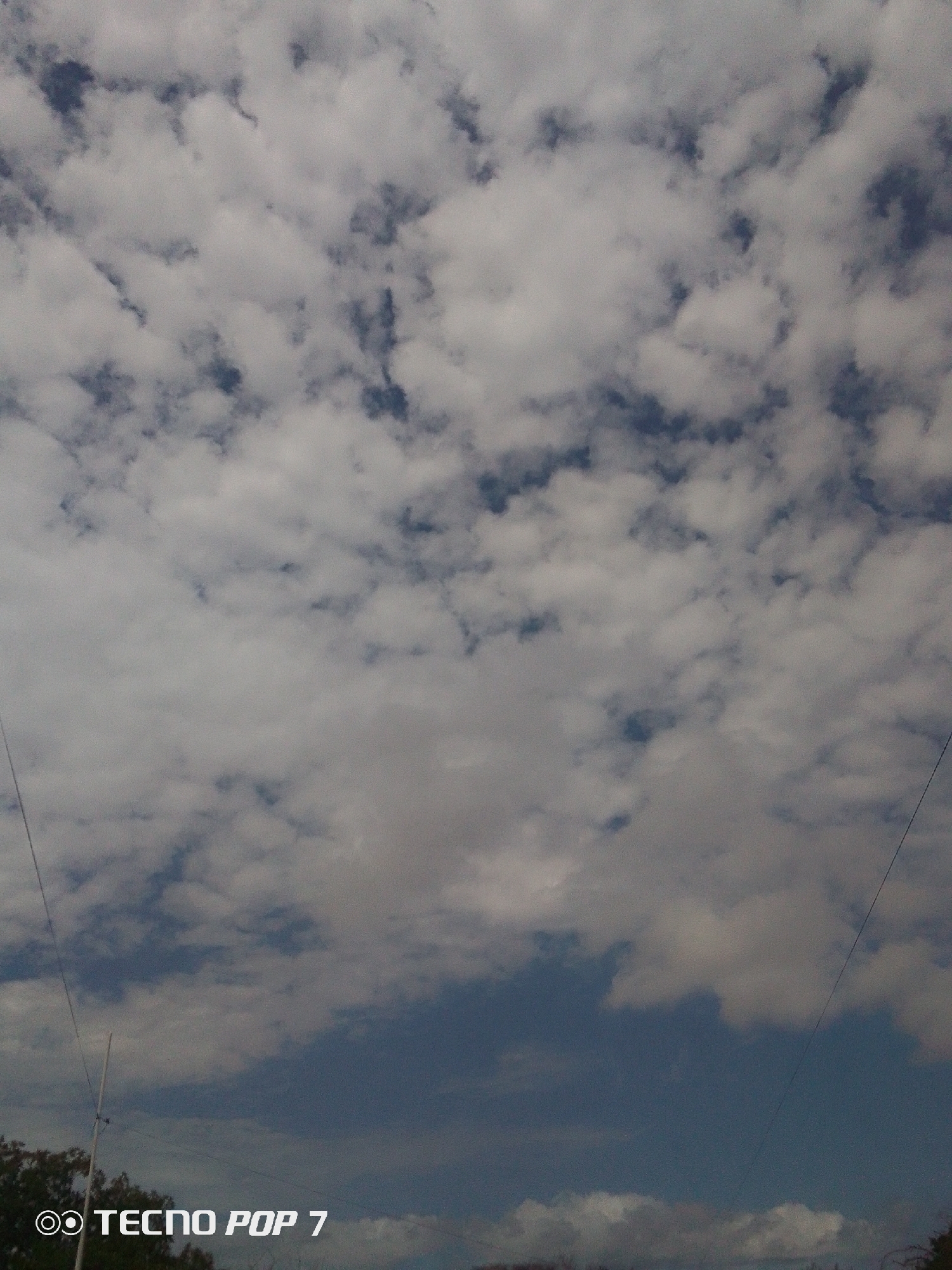 This vertical image captures a daytime view of a sky filled with scattered clouds, possibly above Altagracia, Venezuela. The dominant features are white and gray cumulus clouds, varying in size and density, set against a backdrop of blue sky. Patches of darker blue are visible where the cloud cover is sparser, while some areas of the sky are more densely blanketed by clouds, particularly towards the bottom where a more uniform, darker cloud layer appears.
Two thin, dark lines, resembling wires or ropes, cut across the image diagonally from the bottom edges. One extends from the bottom left towards the upper left, and another from the bottom right towards the upper right. On the left side of the frame, near the bottom, a slender white pole or rod rises vertically. The very bottom of the image shows hints of dark, blurred shapes, suggestive of distant trees or foliage, indicating a landscape below the sky.
No specific activity or human subjects are present. The scene conveys a sense of a quiet, possibly overcast or partly cloudy, day. The text "◎ TECNO POP 7" is clearly visible in white in the bottom left corner, identifying the device used for the photograph.