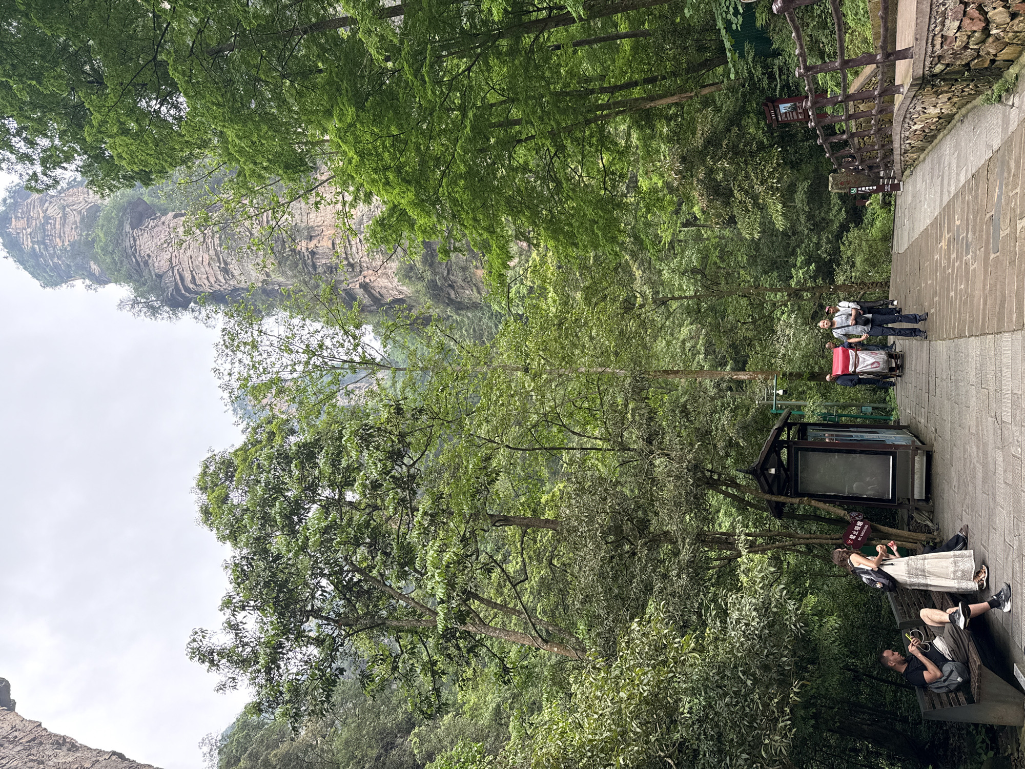 The image depicts a scene in Luoguta, China. A narrow, paved path with stone steps runs through a lush, green forest. A rock formation rises in the background. Along the path, there is a viewing station with a framed information panel. A man sits on a bench, looking at his phone while a woman stands next to him eating. Further up the path, three people are walking. The environment is densely forested, with trees lining both sides of the path. A stone wall and wooden railing are visible on the right side of the path.