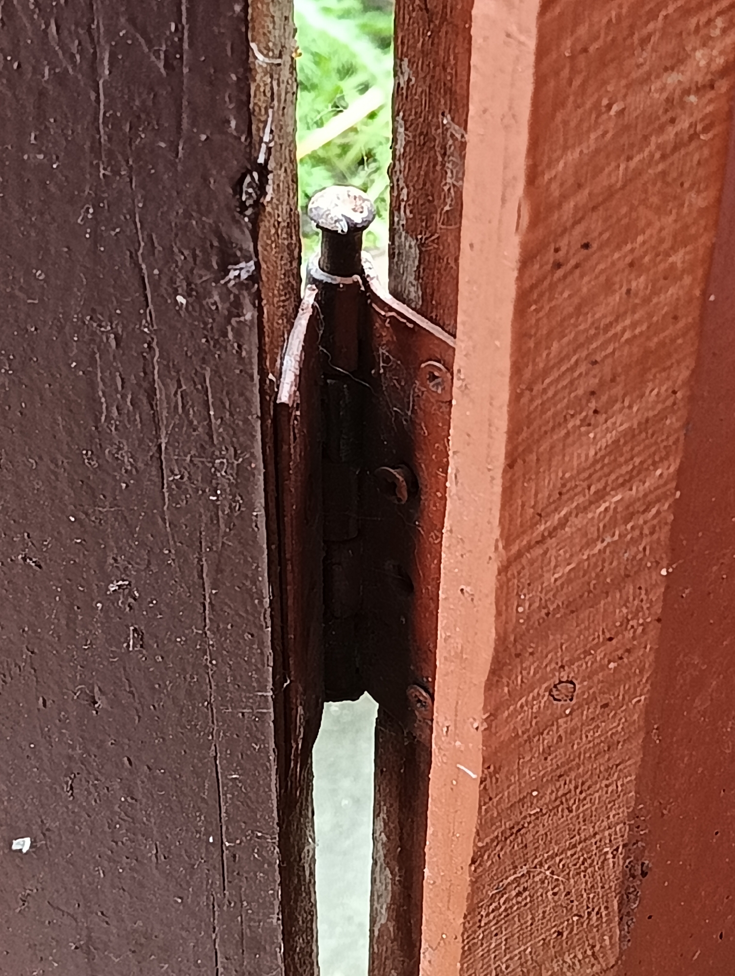 A close-up, vertical shot captures the weathered hinge and adjacent panels of a wooden gate or door in Biliaivka, Ukraine. The image focuses on the narrow gap between two sections of the structure, revealing glimpses of a bright, out-of-focus green background, likely foliage.
The left panel of the gate is a dark, almost chocolate brown, showing signs of wear and a textured, painted surface with lighter speckles. The right panel is a contrasting reddish-brown, also painted, with visible horizontal grain patterns. Connecting these two sections is a dark metal hinge, secured by screws or nails, which appears robust and possibly aged, or painted to match the dark brown panel. The hinge's pin, crowned with a rounded, metallic cap, is prominent at the top.
Fine cobwebs are visible on and around the hinge, as well as in the crevices of the wooden panels, suggesting the structure is outdoors and possibly not frequently disturbed. The natural lighting indicates it is daytime. No specific activity is occurring, and no text is visible. The scene evokes a sense of rustic utility and the passage of time.