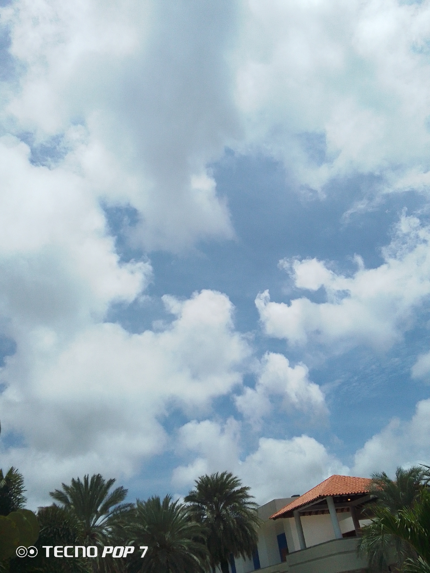The image captures a partially obscured view of a building with a red tiled roof, framed by palm trees, set against a backdrop of a blue sky filled with scattered white clouds. The location is Pedro González, Venezuela. The foreground consists of dense, green palm trees that partially obscure the lower part of the building. The building has white walls and is accented with blue doors. The sky occupies the majority of the image, showcasing a partly cloudy day. The image has a slightly upward tilt. A watermark “TECNO POP 7” is visible at the bottom left.