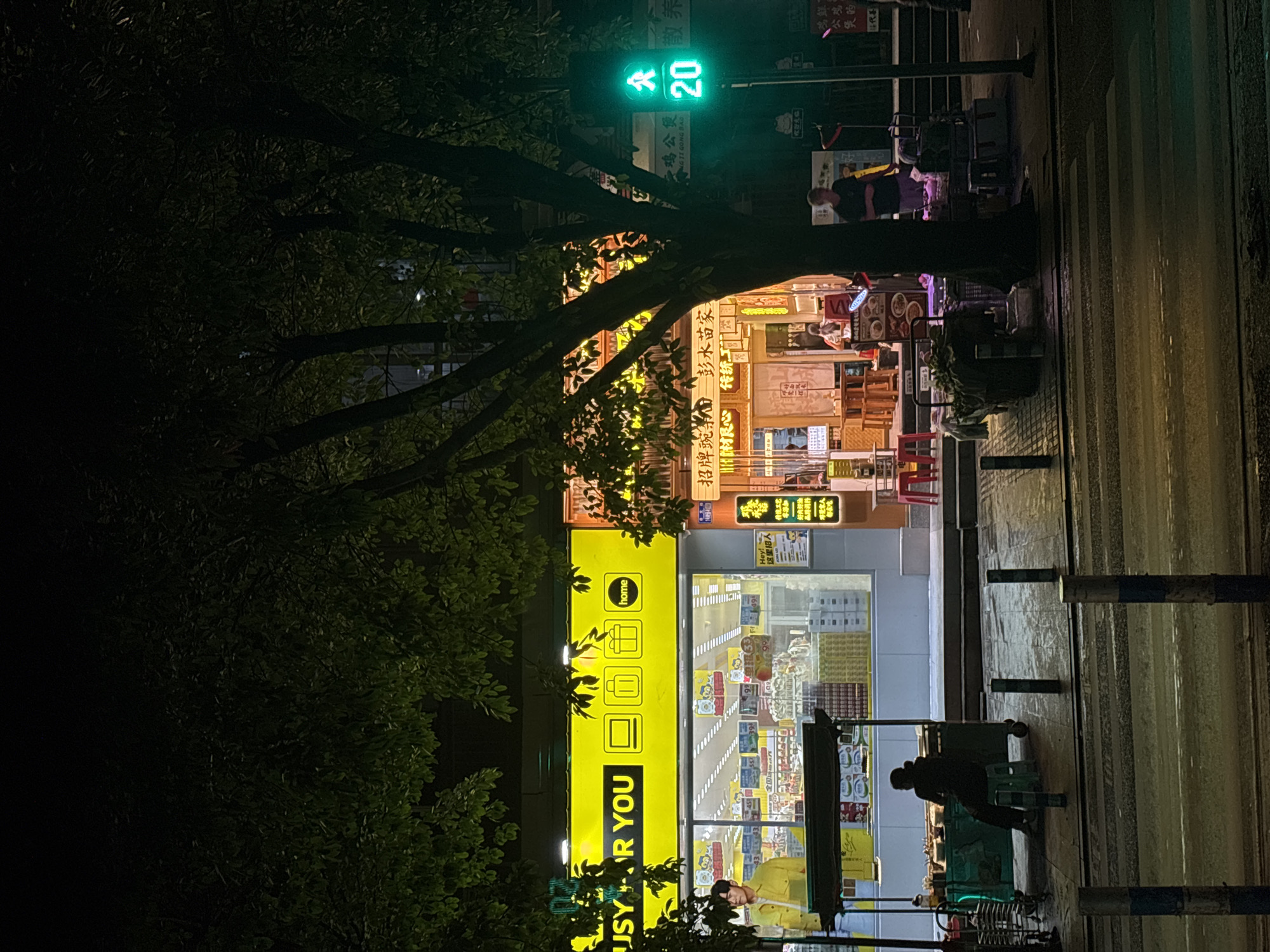 The photograph depicts a nighttime street scene in Nan'an District, China. On the right side is the crosswalk with crosswalk lines. There are two people who appear to be pedestrians waiting to cross the street. There are two commercial buildings that run from the lower right of the photograph to the middle left of the photograph. One business has a sign that reads "JSYR YOU home." Above that business is another sign that includes the words "NG TI GONG BAO." The traffic signal in the photo reads "20." A tree with dense foliage partially obscures the view, especially in the upper left and lower right corners.