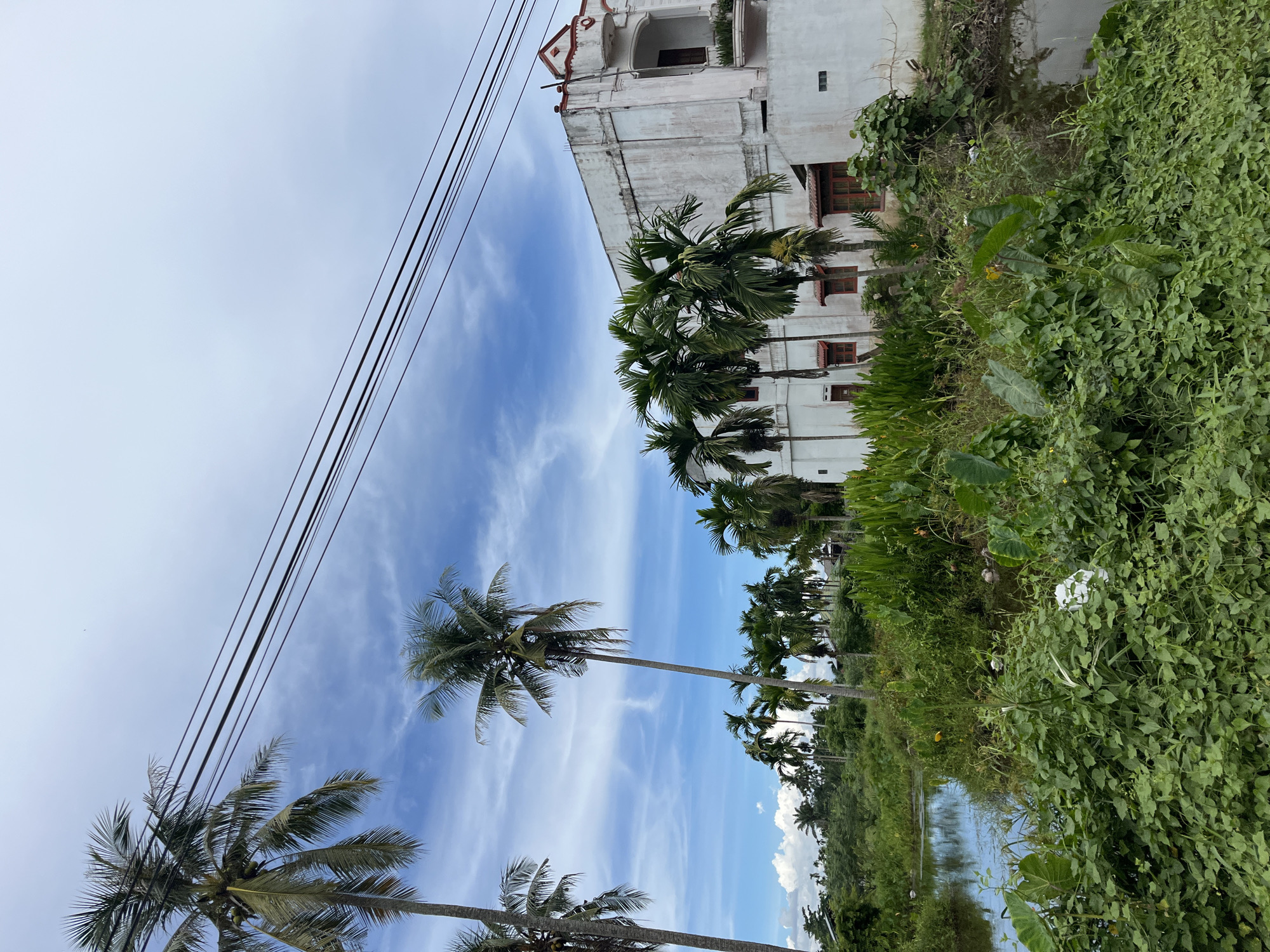 The image captures a landscape scene with a white building featuring red-trimmed windows and decorative elements on the roof, flanked by palm trees of various sizes. A body of water, likely a canal or pond, is visible in the foreground, bordered by dense green vegetation including large-leafed plants and smaller bushes. The sky above is a mix of blue with scattered white clouds, and power lines traverse the upper portion of the frame. In the distance, more palm trees and lush greenery create a tropical atmosphere, suggesting a rural or semi-rural setting within Simpangempat, Indonesia. There are no people or animals clearly visible in the frame. The overall impression is one of a serene, tropical environment adjacent to man-made structures.