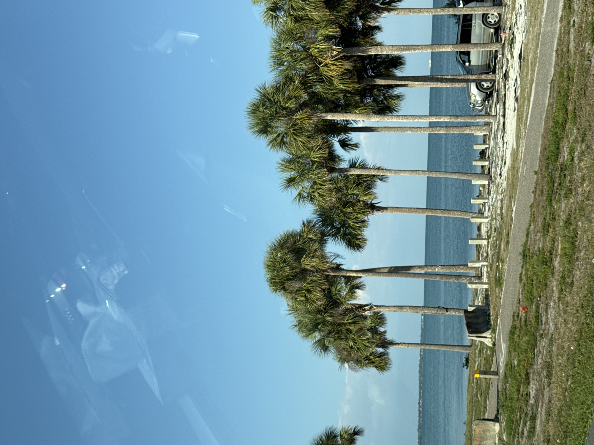 The image depicts a bright, sunny coastal scene in Saint Petersburg, United States of America. The upper two-thirds of the frame consist of a clear, light blue sky, with reflections visible in the upper left quadrant. These reflections include an inverted image showing elements consistent with a vehicle's interior, such as a dashboard or control panel, lights, and an indistinct shape resembling a hand or arm.
A body of calm, blue-green water, likely a bay or estuary, stretches horizontally across the middle ground. A faint landmass is visible on the distant horizon to the left. A small, white, indeterminate object is present on the water's surface to the far right.
The lower third of the image shows a grassy land area with patches of exposed dirt. A light-colored paved pathway, possibly asphalt, curves through this area. A row of approximately twelve mature palm trees with fibrous trunks and dense green fronds stands between the pathway and the water's edge, partially obscuring the view of the water in sections.
Several concrete barriers or blocks are positioned on the grassy area near the path. One vertical concrete post features a yellow marker. A series of short, light-colored, square-profile bollards or posts line the immediate land edge behind the palm trees, bordering the water. A thin orange line, possibly a string or tape, spans horizontally across the lower foreground, with a small orange flag or marker nearby.
A silver-colored SUV, appearing to be a Toyota Highlander, is parked on the right side of the frame, partially hidden by the palm trees. The vehicle is oriented to the left, with its front wheels visible on a dirt or sandy patch. No individuals are visible in the scene. The overall lighting suggests mid-day conditions.